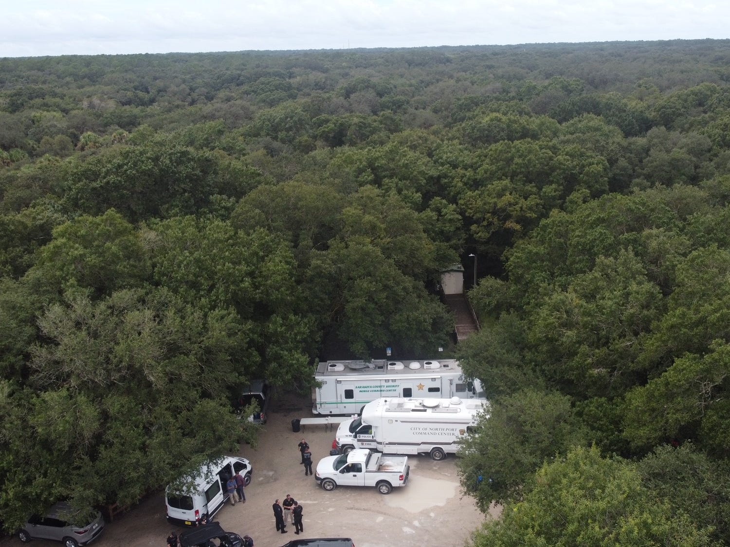 A picture of vast greenery and forestry in Florida