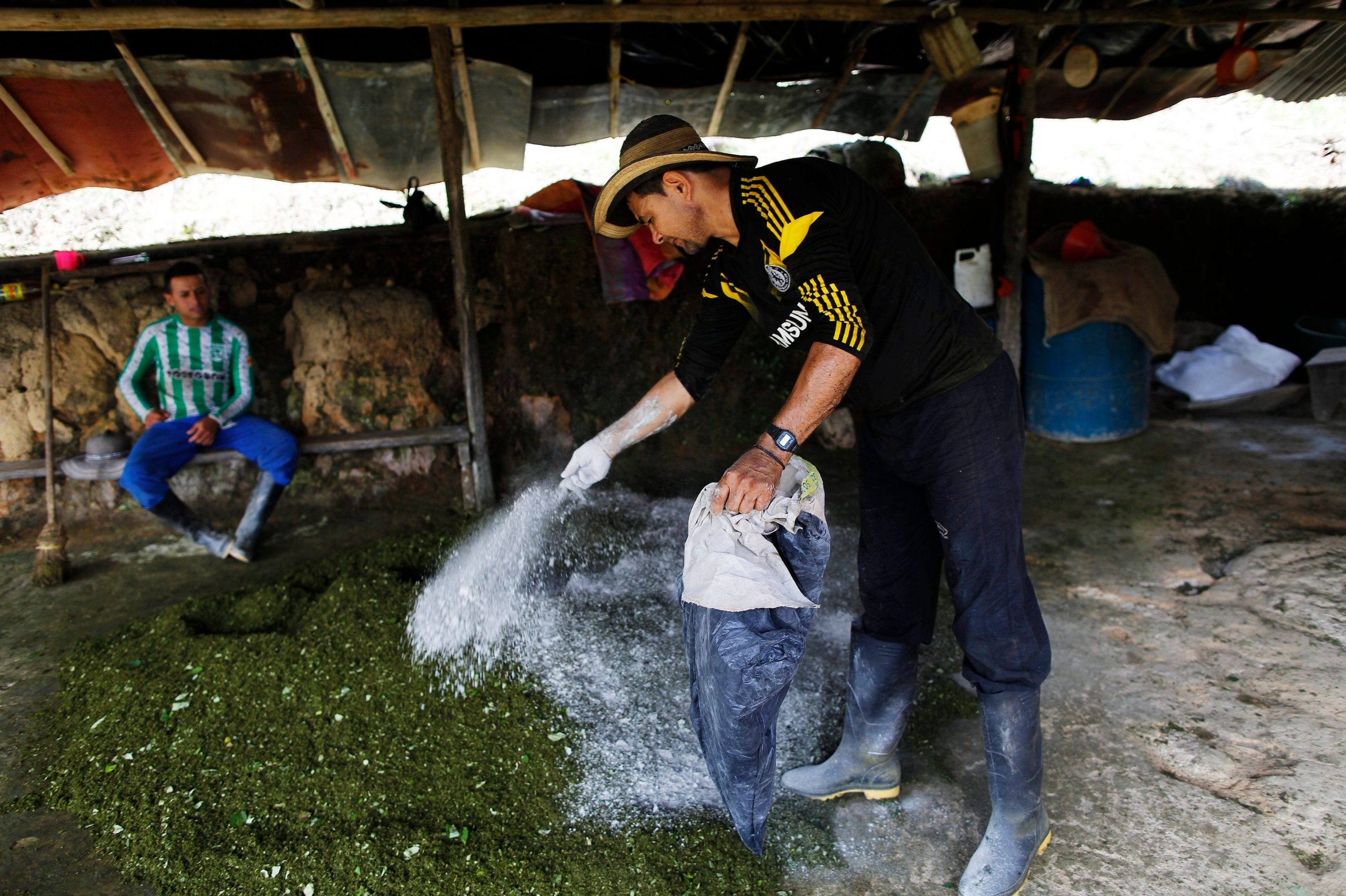 Colombia cocaine production