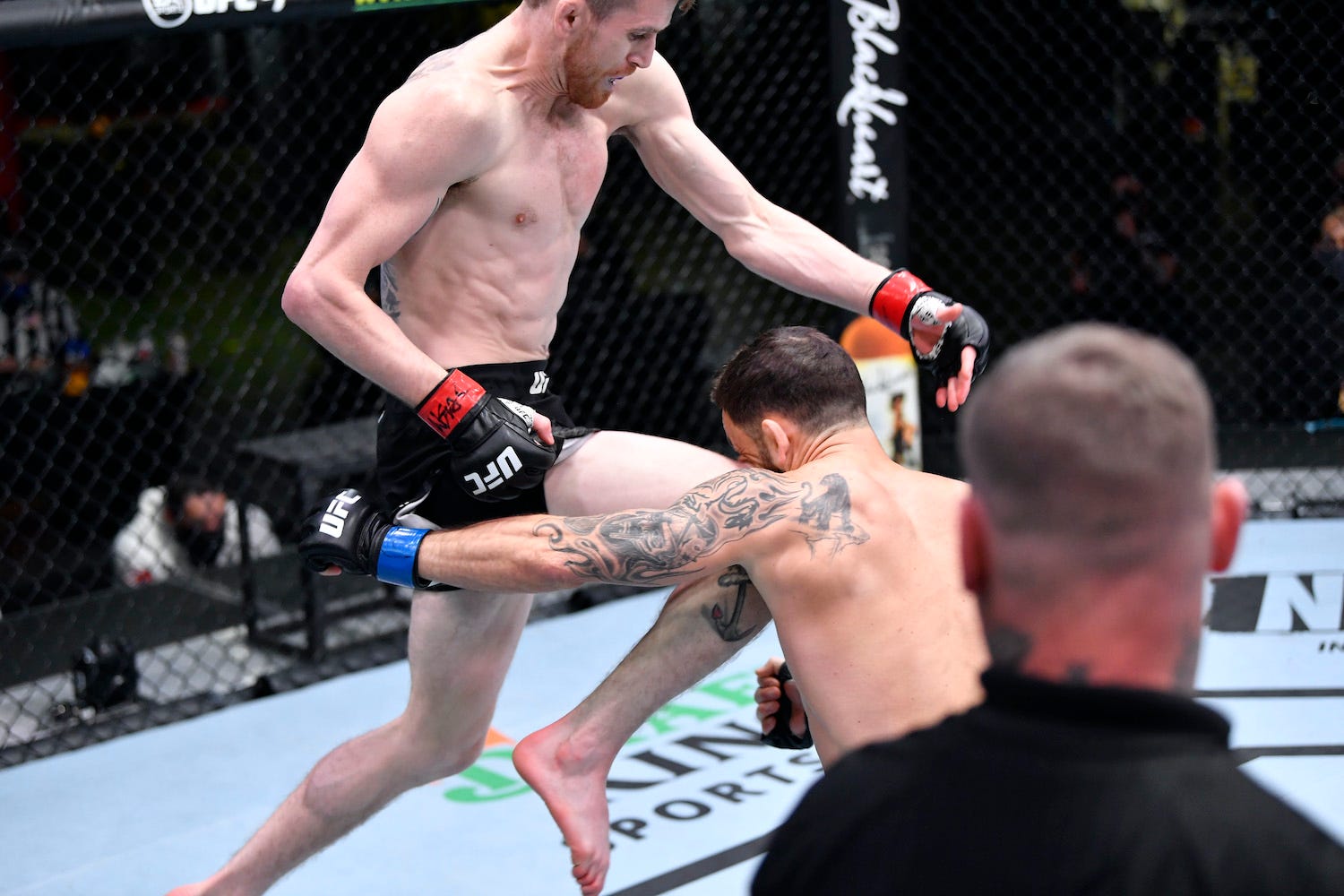 Cory Sandhagen UFC video knockout Frankie Edgar