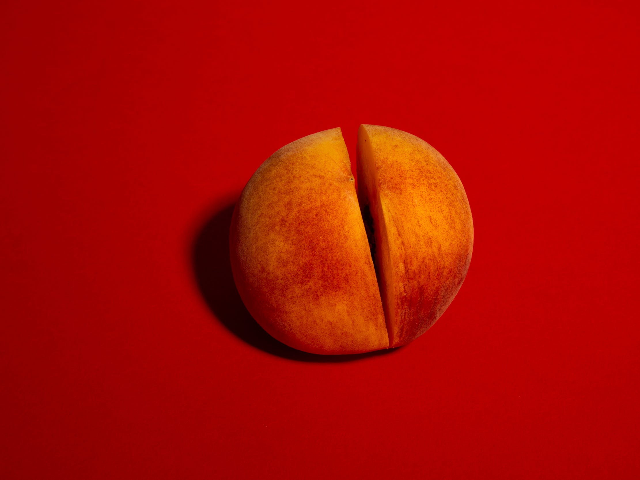 genitals