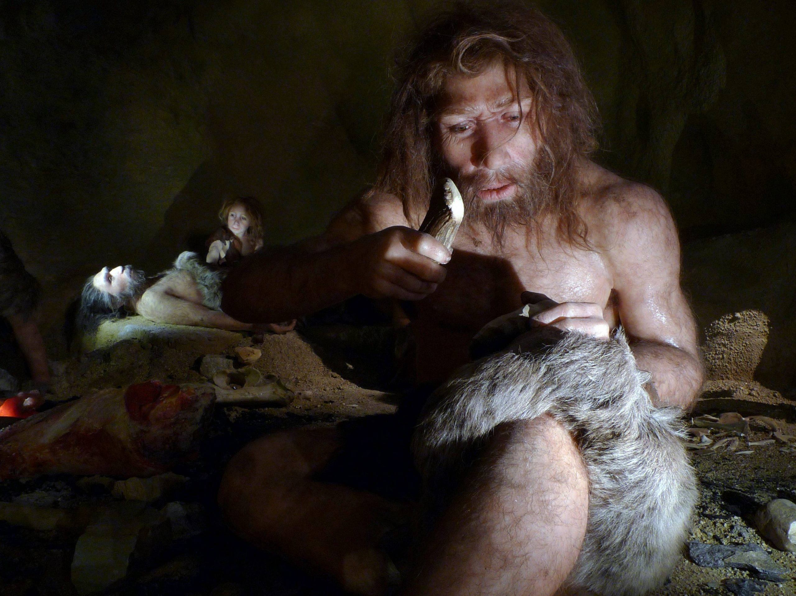 Neanderthal Evolution