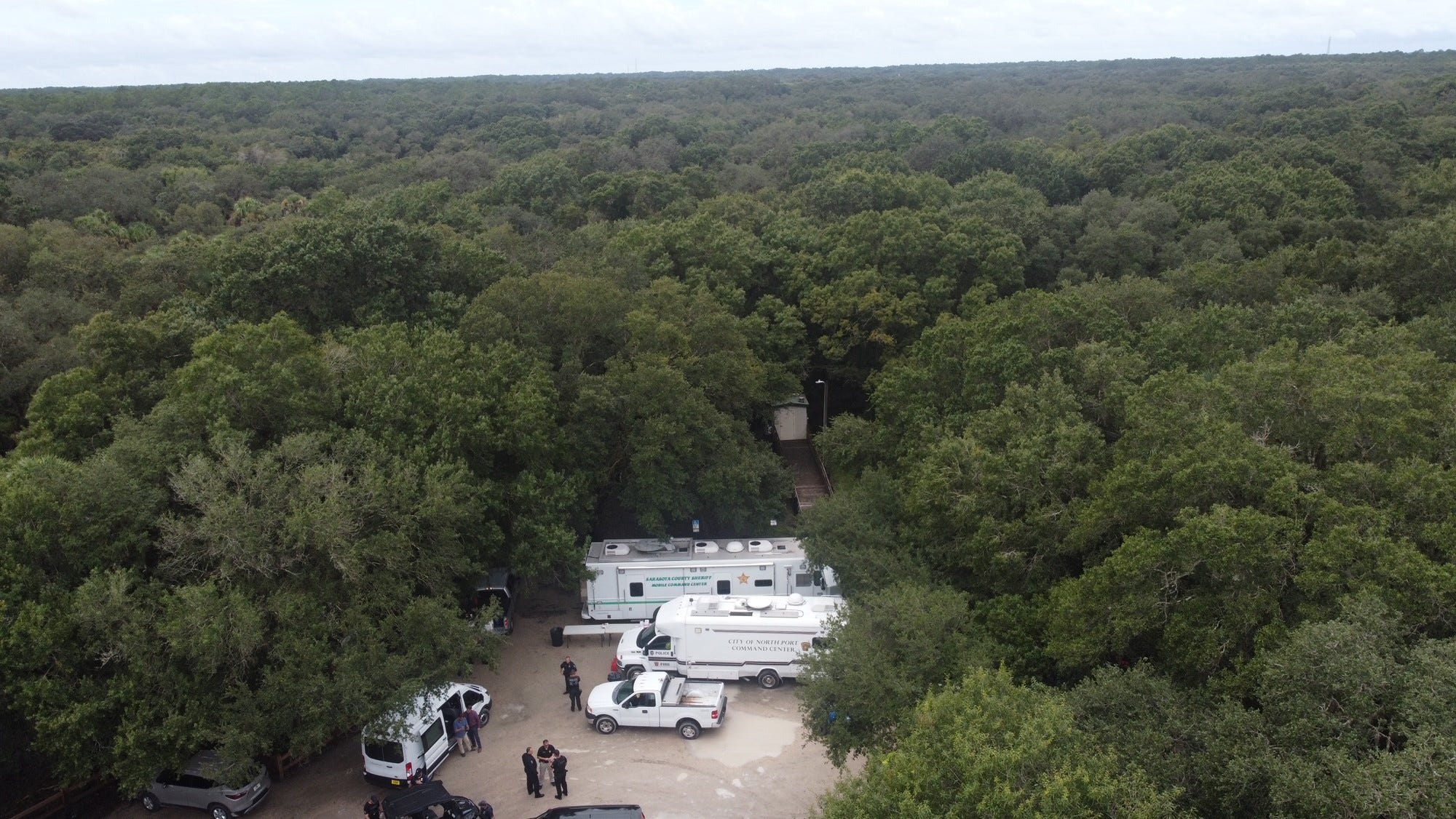 A picture of vast greenery and forestry in Florida