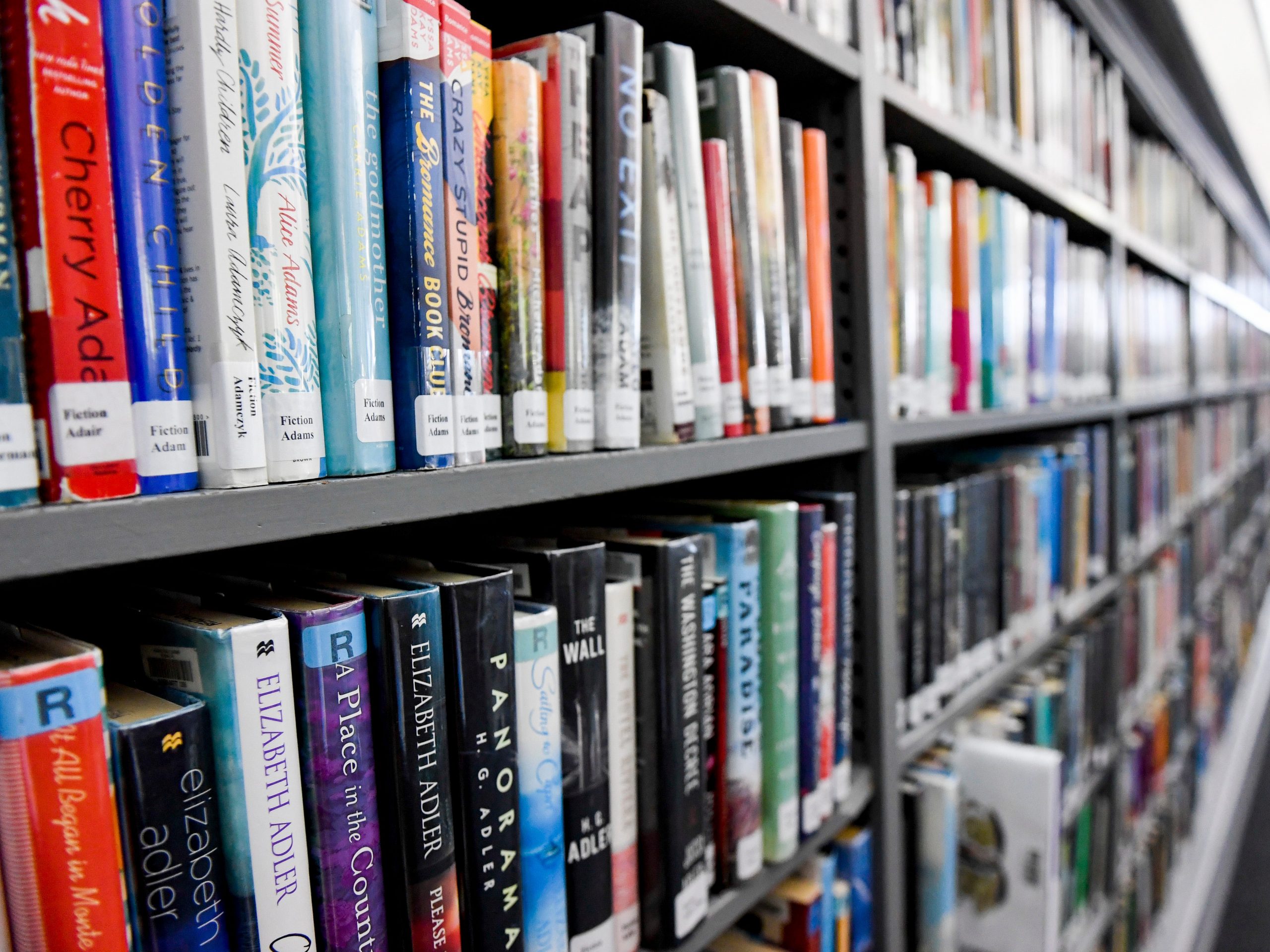 Books on a library shelf