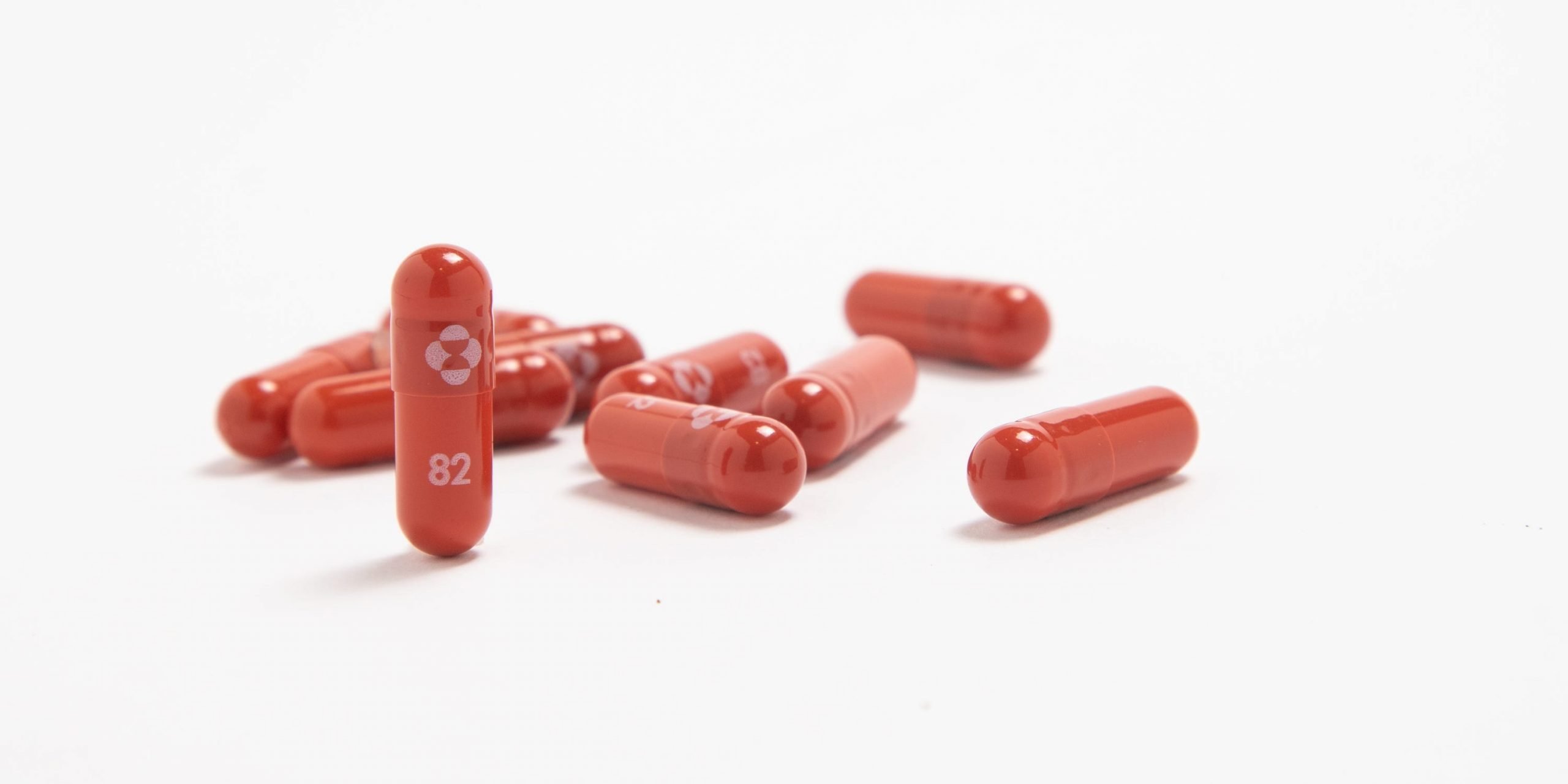 Capsules of molnupiravir, an antiviral drug developed by Merck and Ridgeback Biotherapeutics that could treat COVID-19