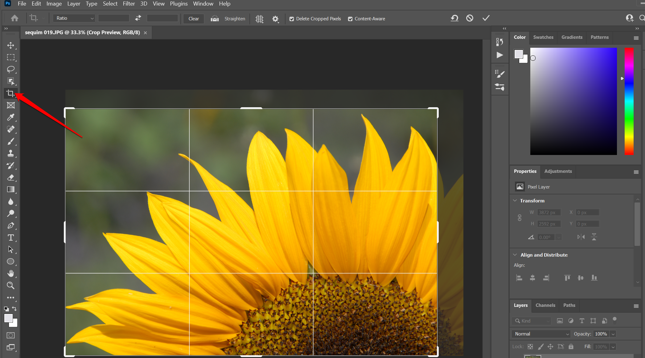 Screenshot of the Crop tool in Photoshop