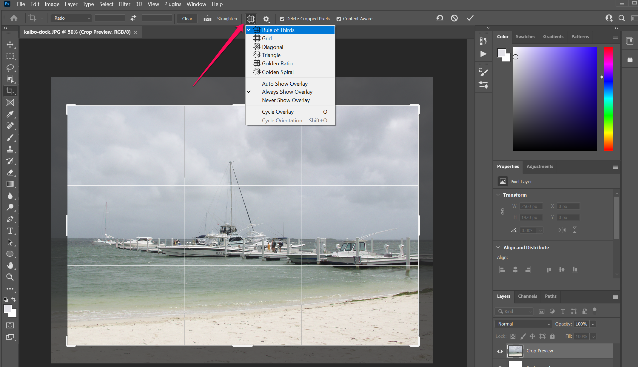Screenshot of the Crop Overlay tool in Photoshop