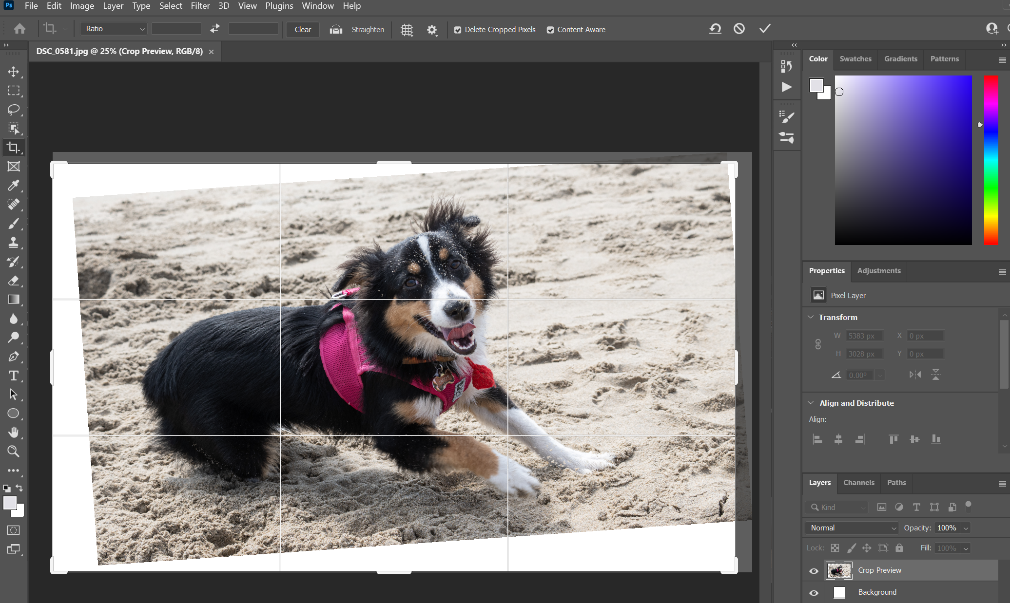 Screenshot of content-aware fill in the Crop tool in Photoshop