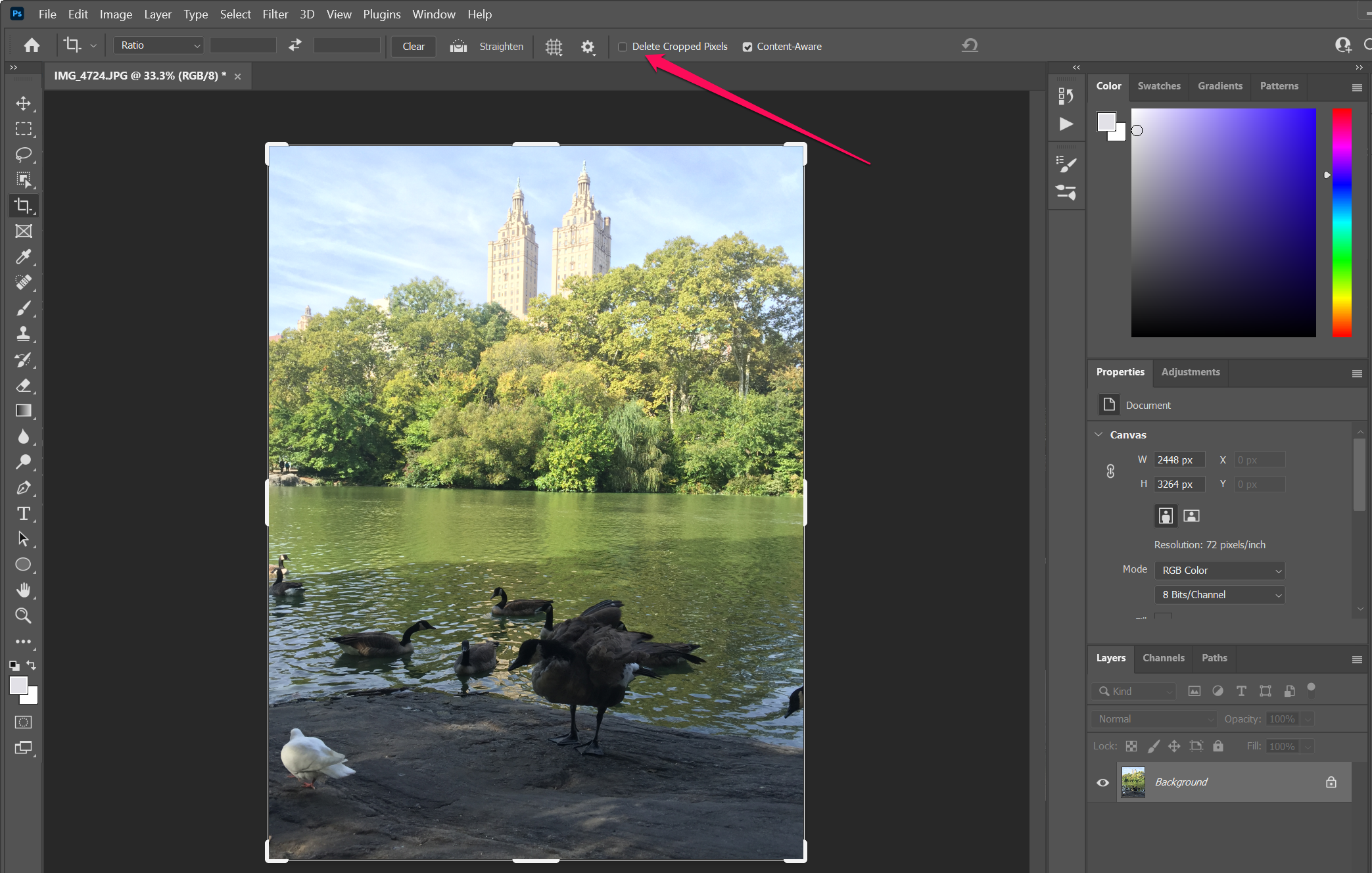 Screenshot of the "delete cropped pixels" option in Photoshop