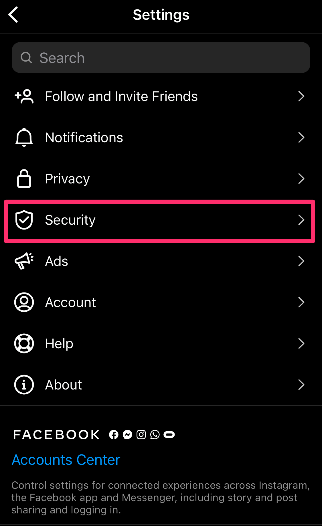 Screenshot of Instagram app showing security options