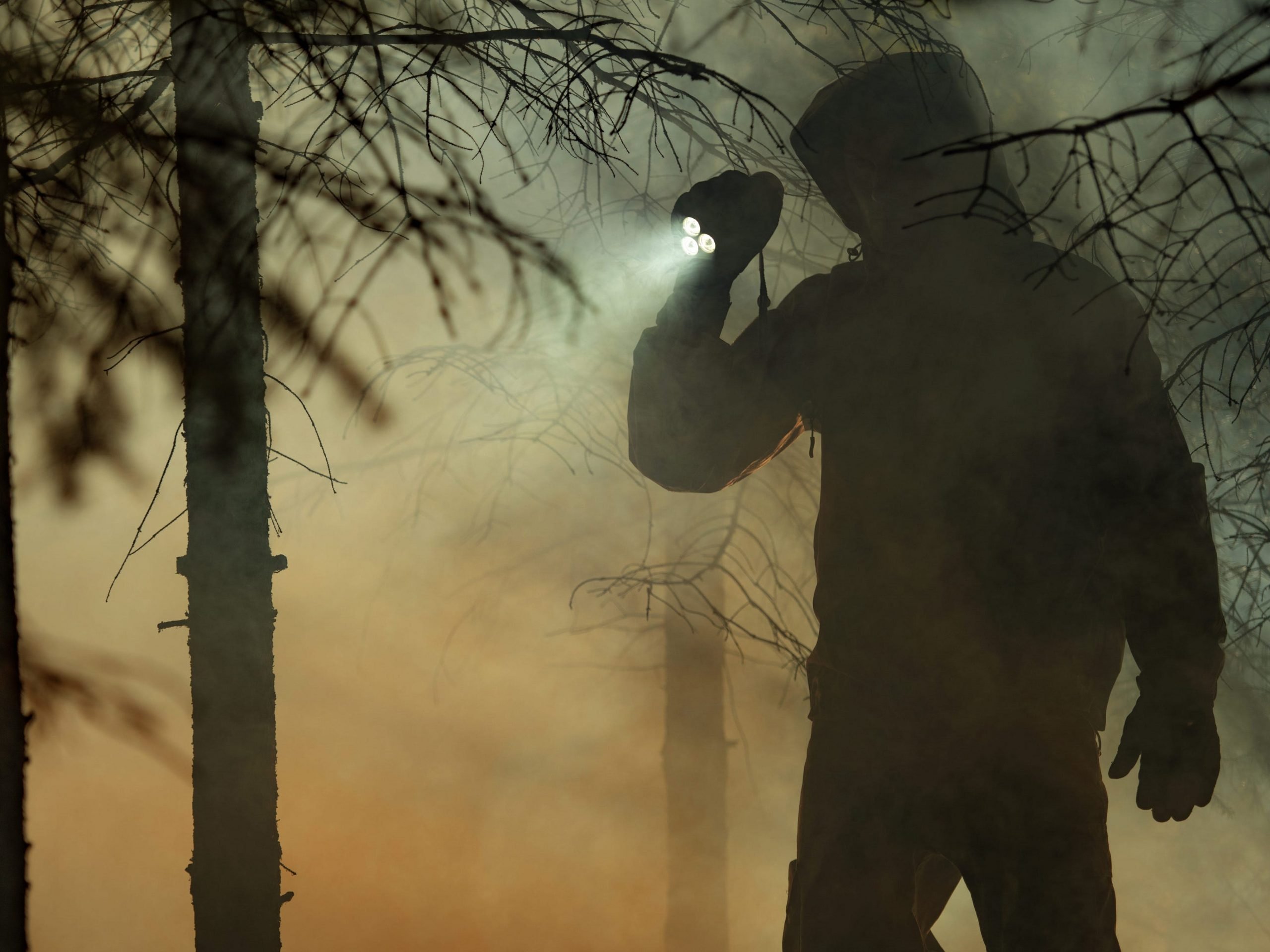 Stock image of a search and rescue party