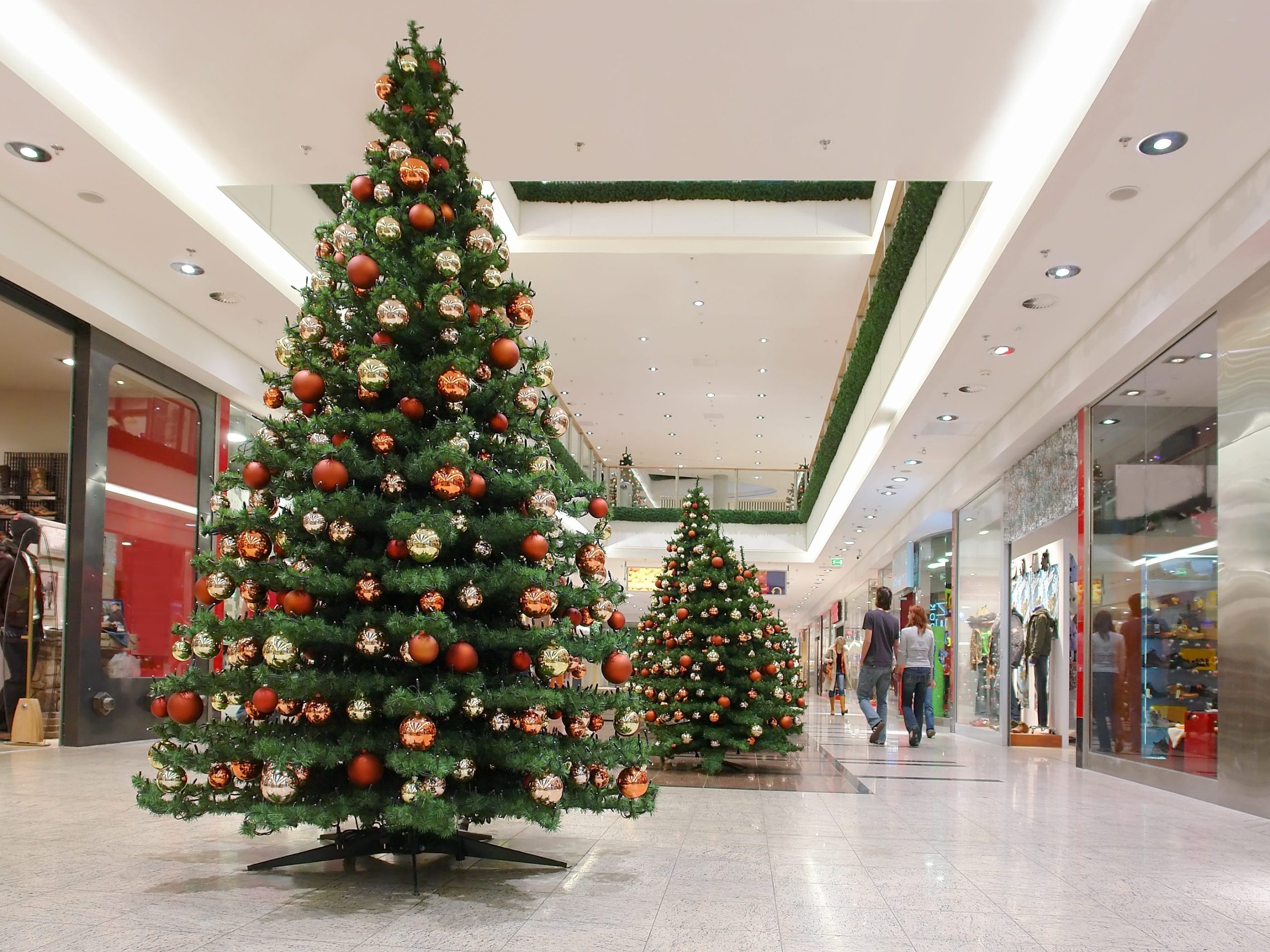 Shopping mall interior decorated with christmas trees