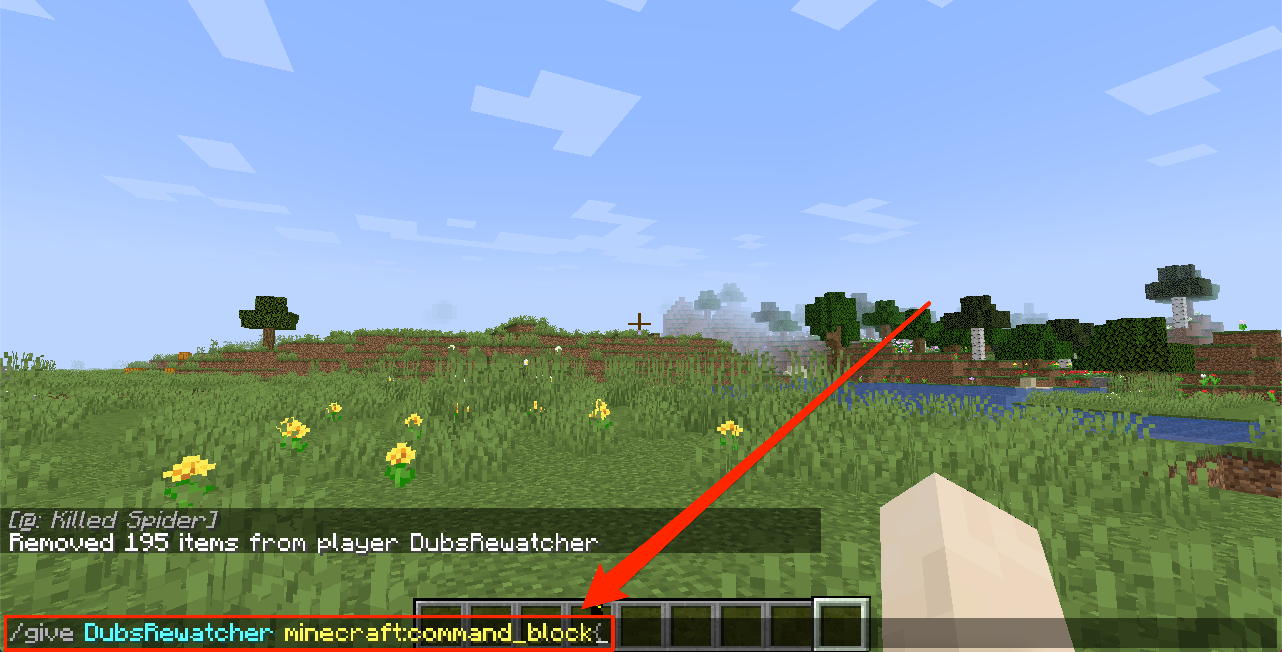 A Minecraft screenshot where the player has entered a command into the chat box.