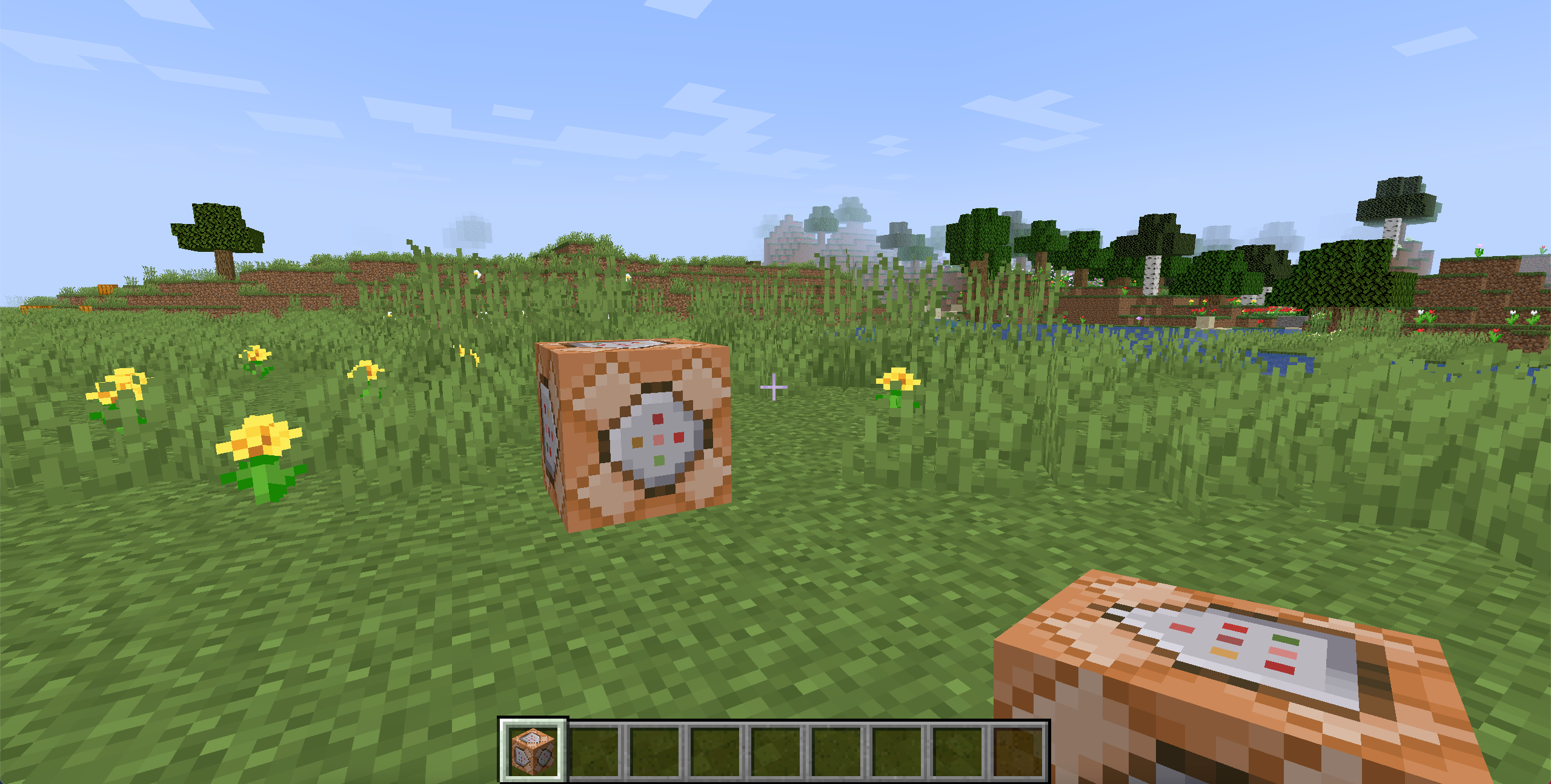 A command block in Minecraft.