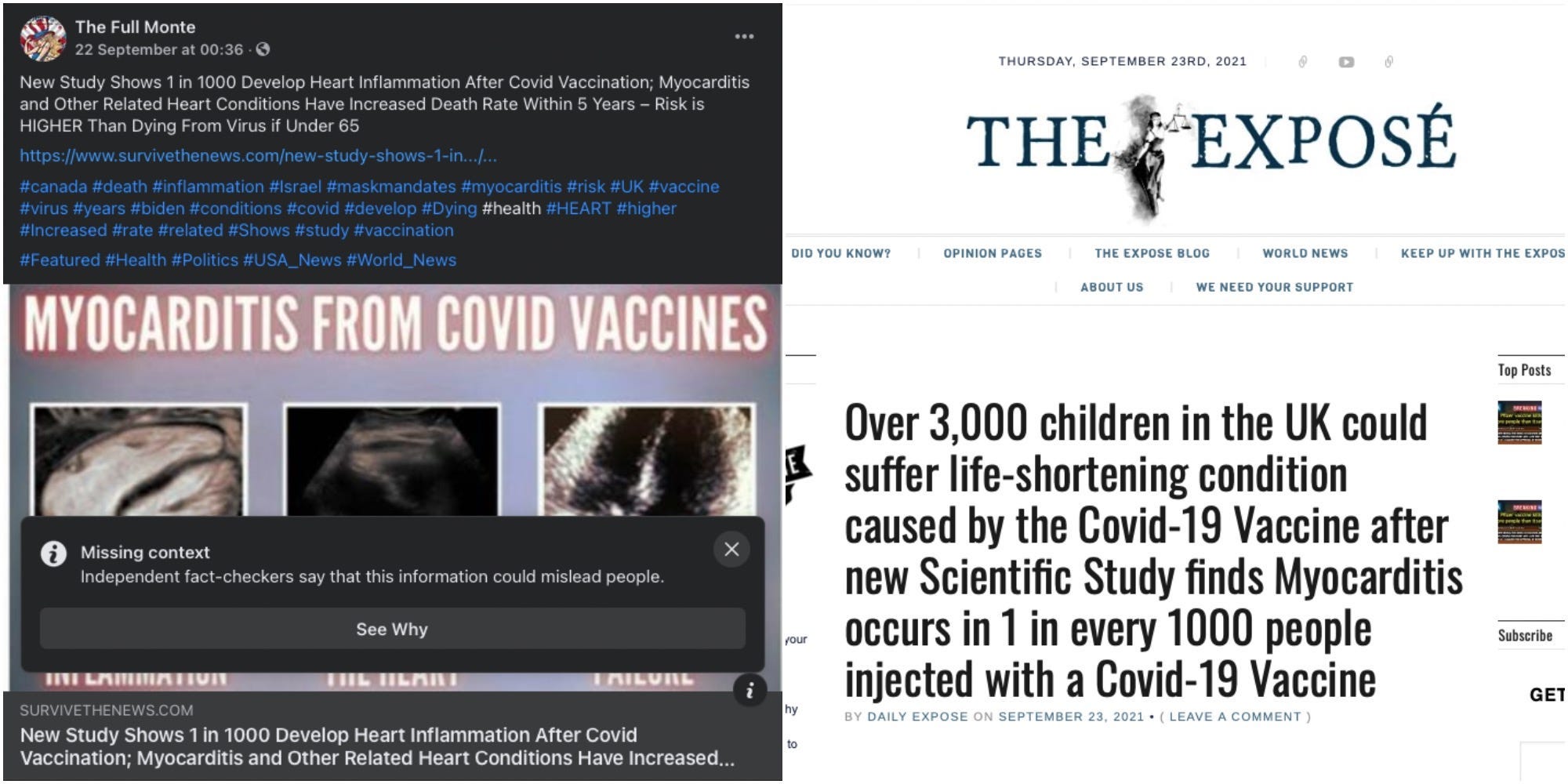 Two articles using the now-defunct study to spread the idea that the COVID-19 vaccine isn't safe.