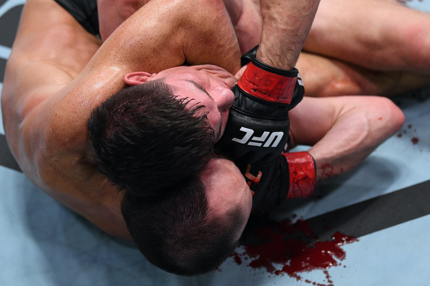 Charles Rosa bleeds during a UFC match.