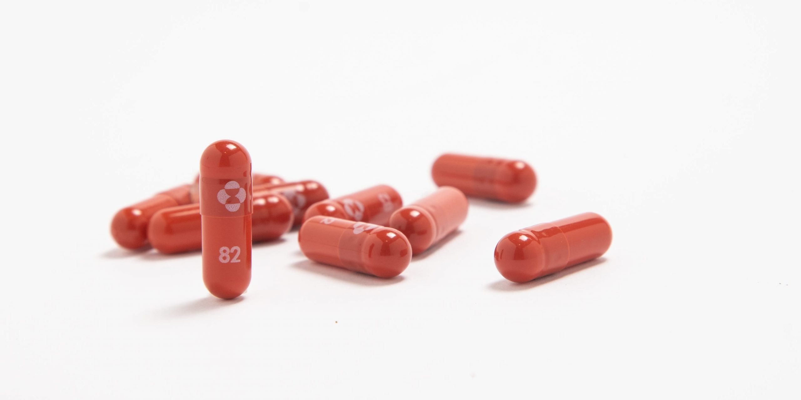 Capsules of molnupiravir, an antiviral drug developed by Merck and Ridgeback Biotherapeutics that could treat COVID-19