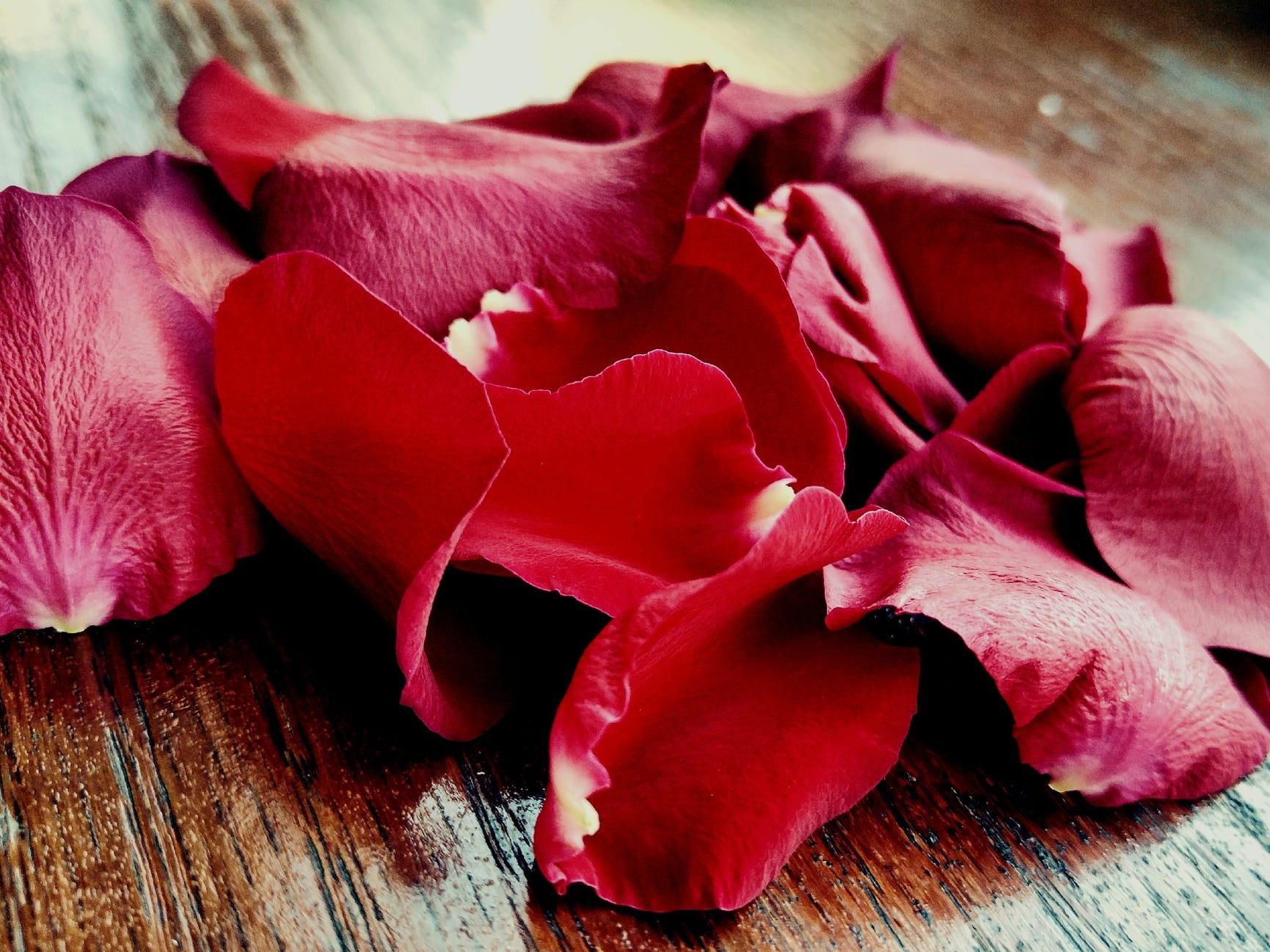 A pile of red rose petals.