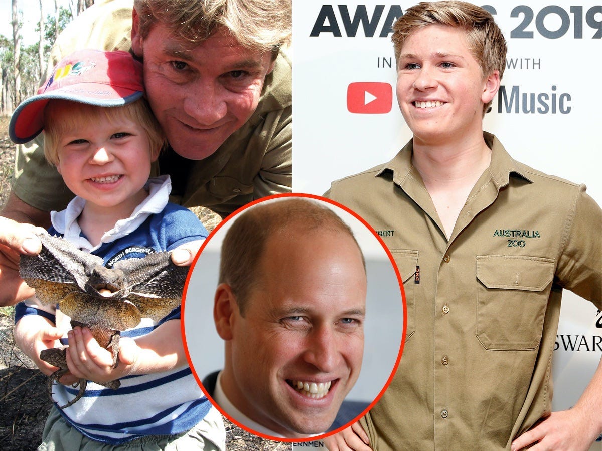 A side-by-side photo of Steve Irwin with Robert Irwin, Robert Irwin on a red carpet, and inset of Prince Harry.