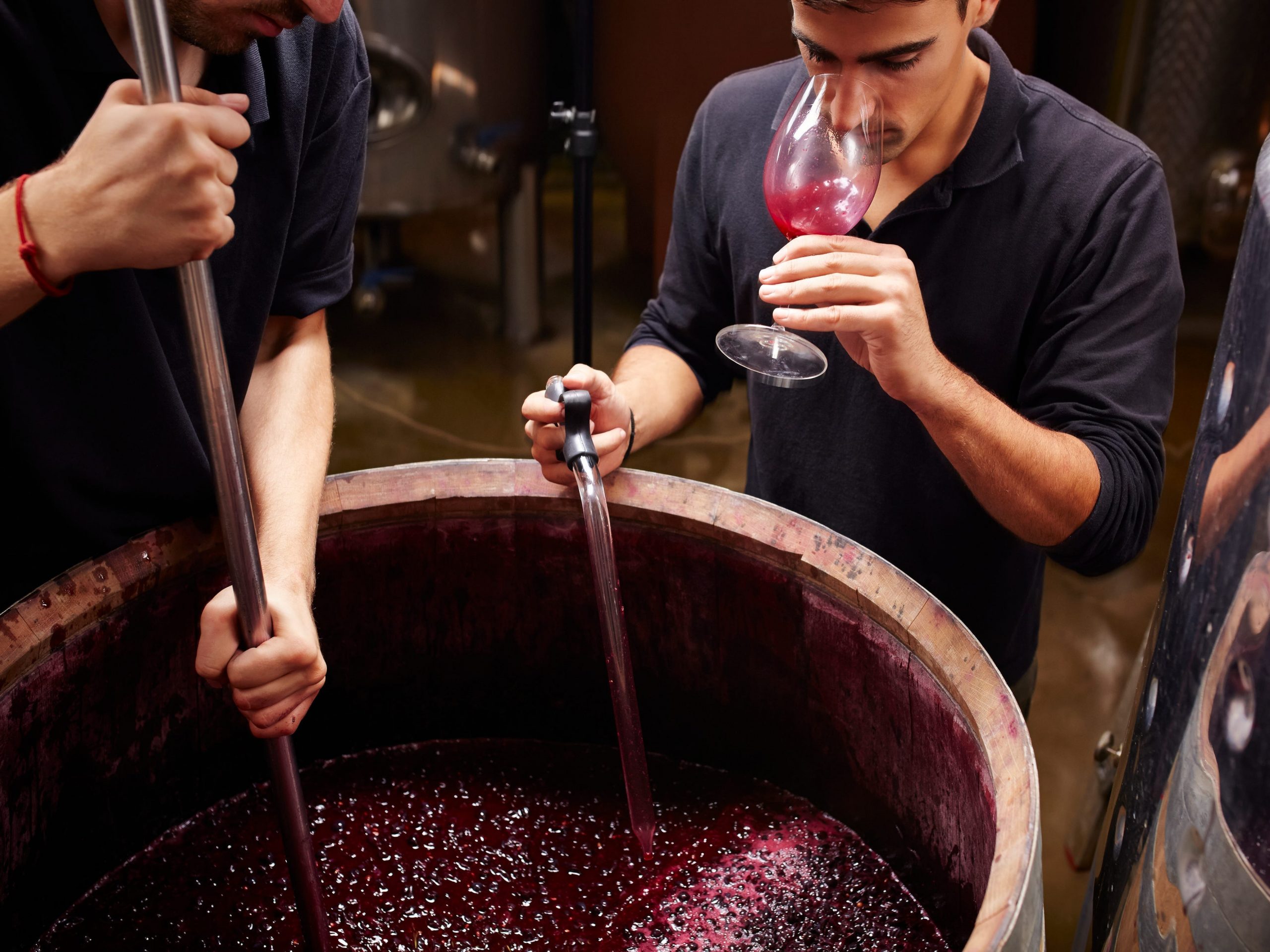 wine tasting, wine barrel