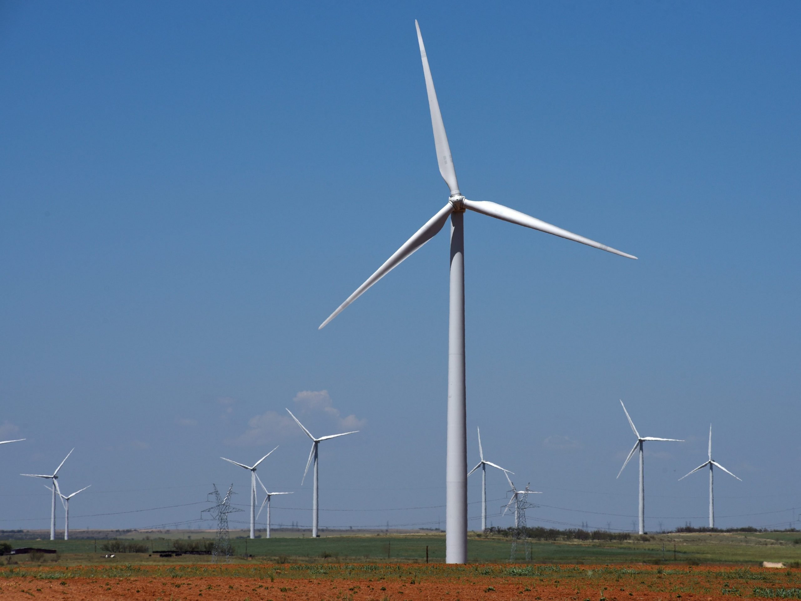 A wind farm in TExas