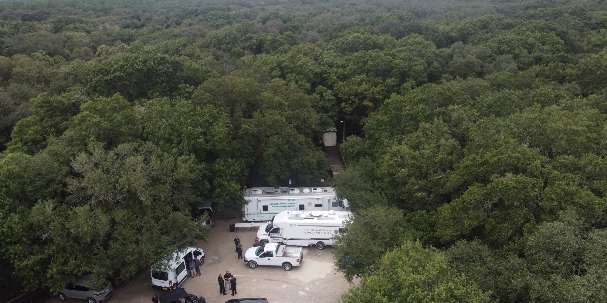 A picture of vast greenery and forestry in Florida