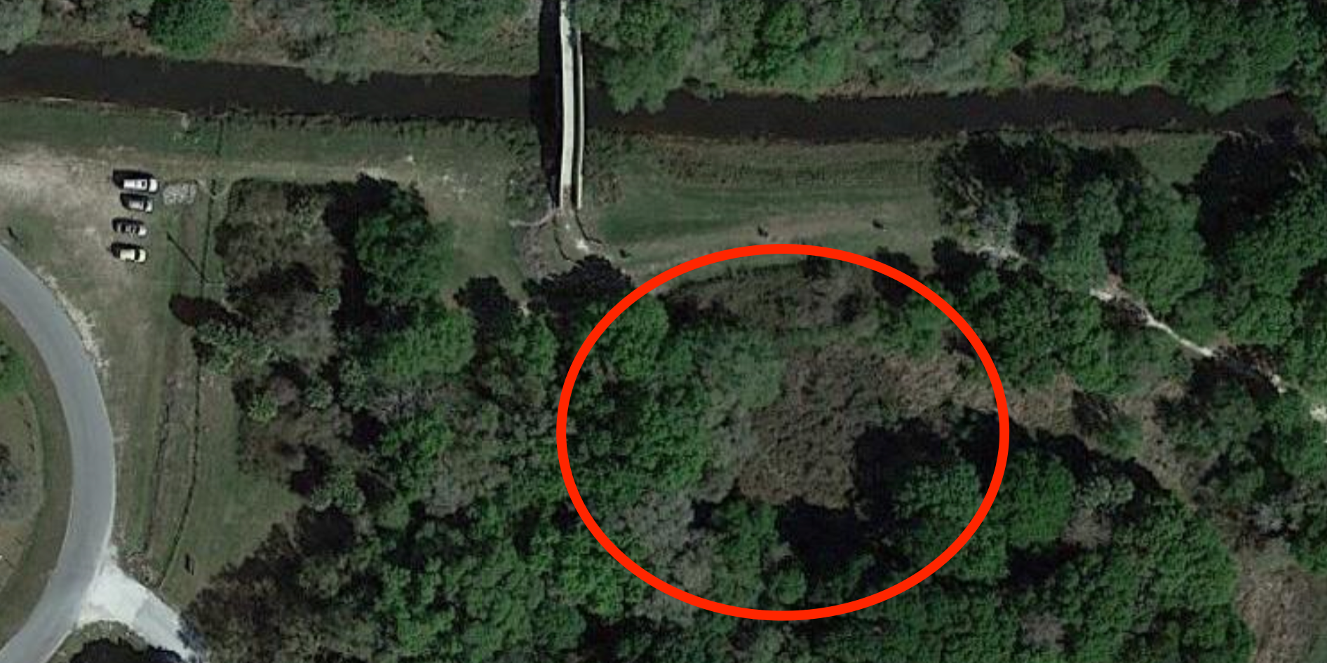 a red circle over a forested area where human remains were found