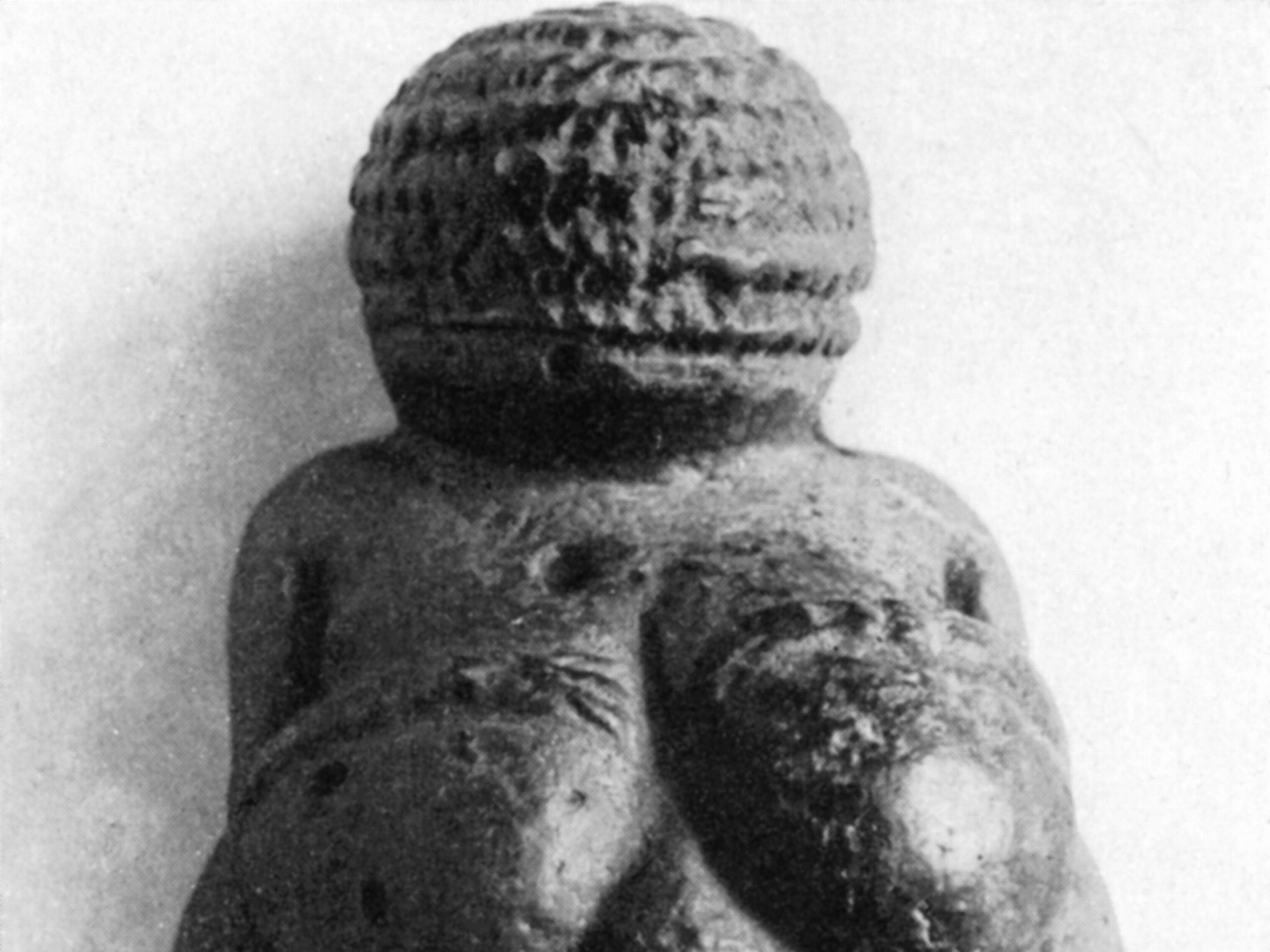 A photo of the Venus of Willendorf sculpture
