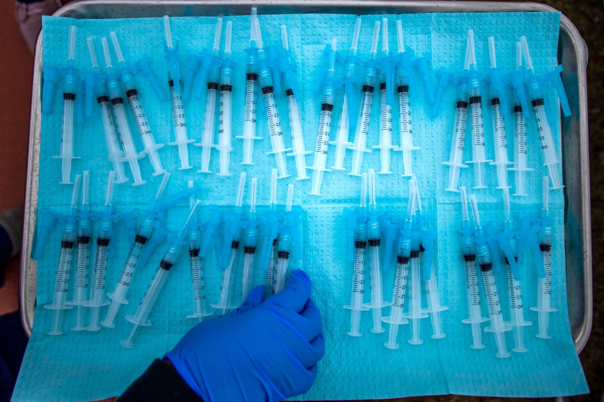 Dozens of Moderna Covid-19 vaccines sitting on a tray.
