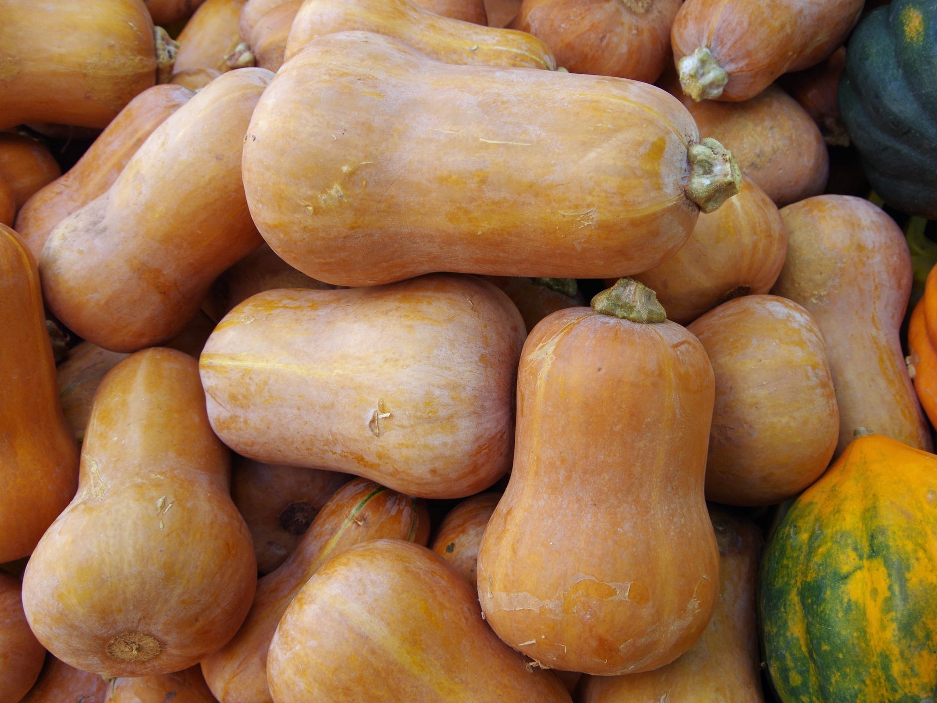 A pile of honeynut squash