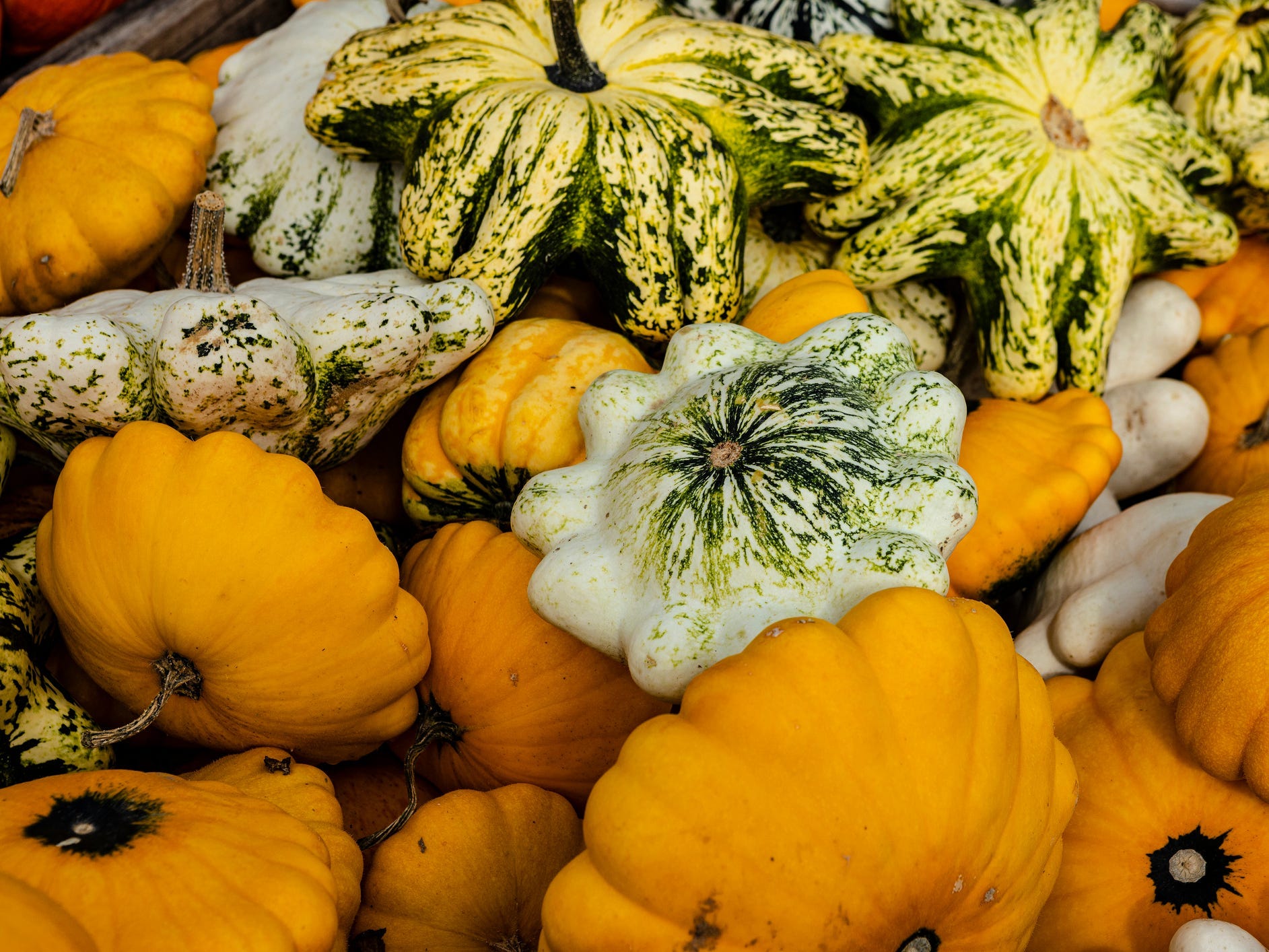 A pile of yellow and green patty pan squash