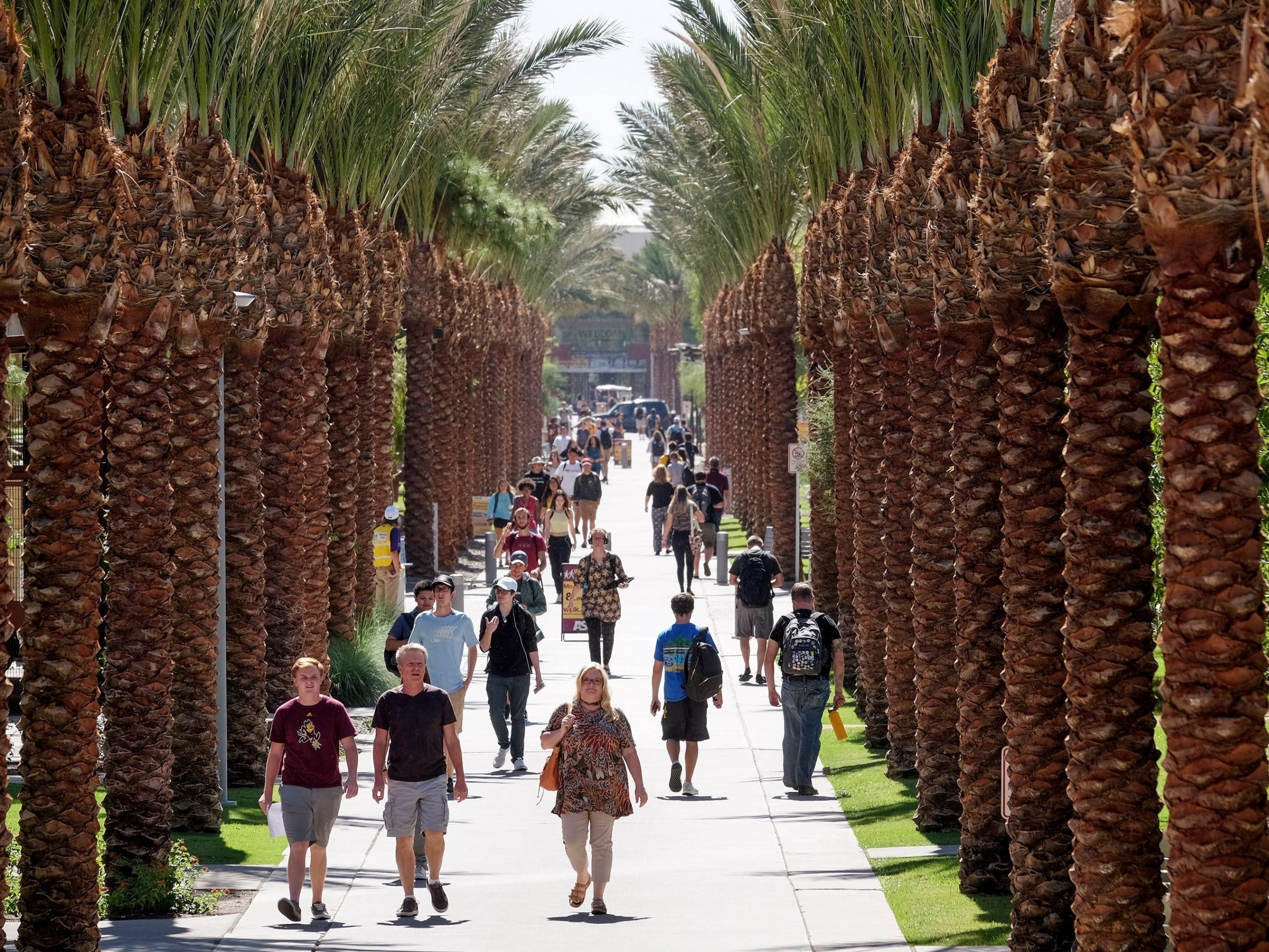 Palm trees line a pedestrian path filled with people at Arizona State University in Tempe, AZ on October 6, 2017.