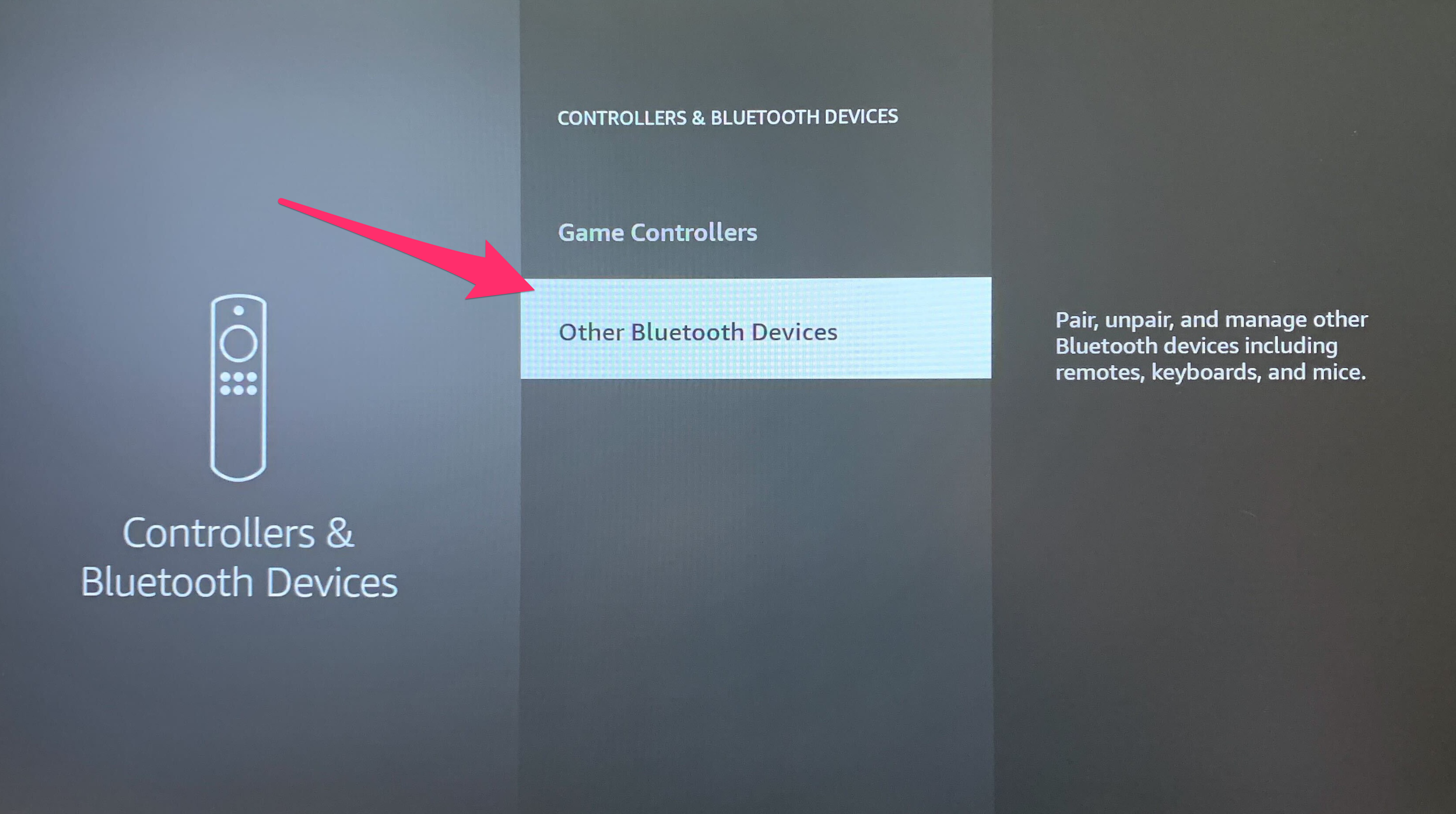 Screenshot of Controllers and Devices page on Fire TV