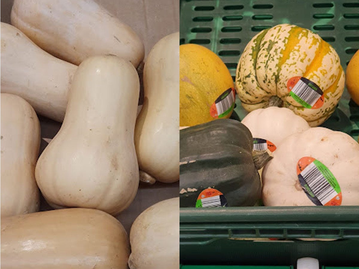 On the left, several butternut squash. On the right, a collection of squash in a green container