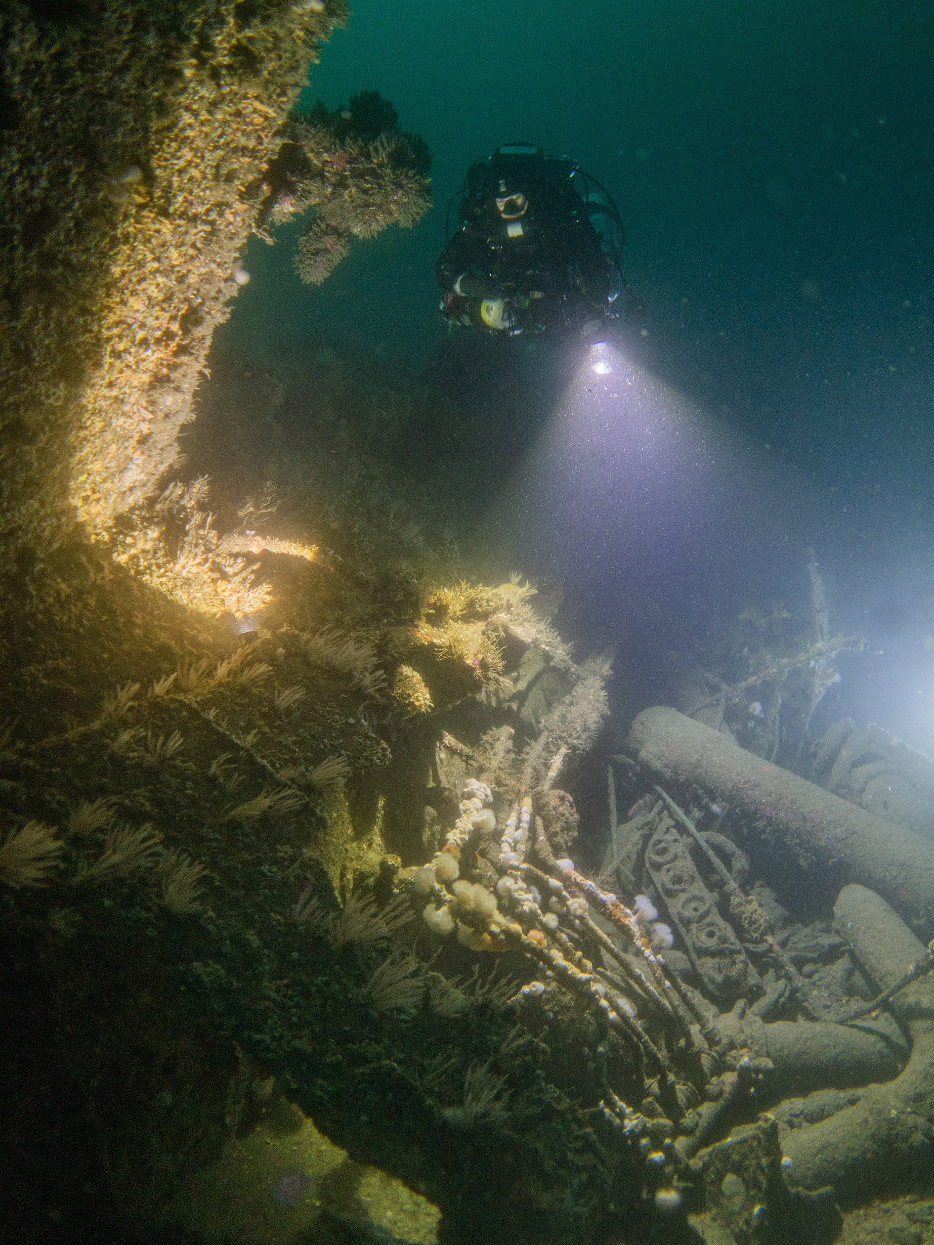 Diver inspects U-boat wreck