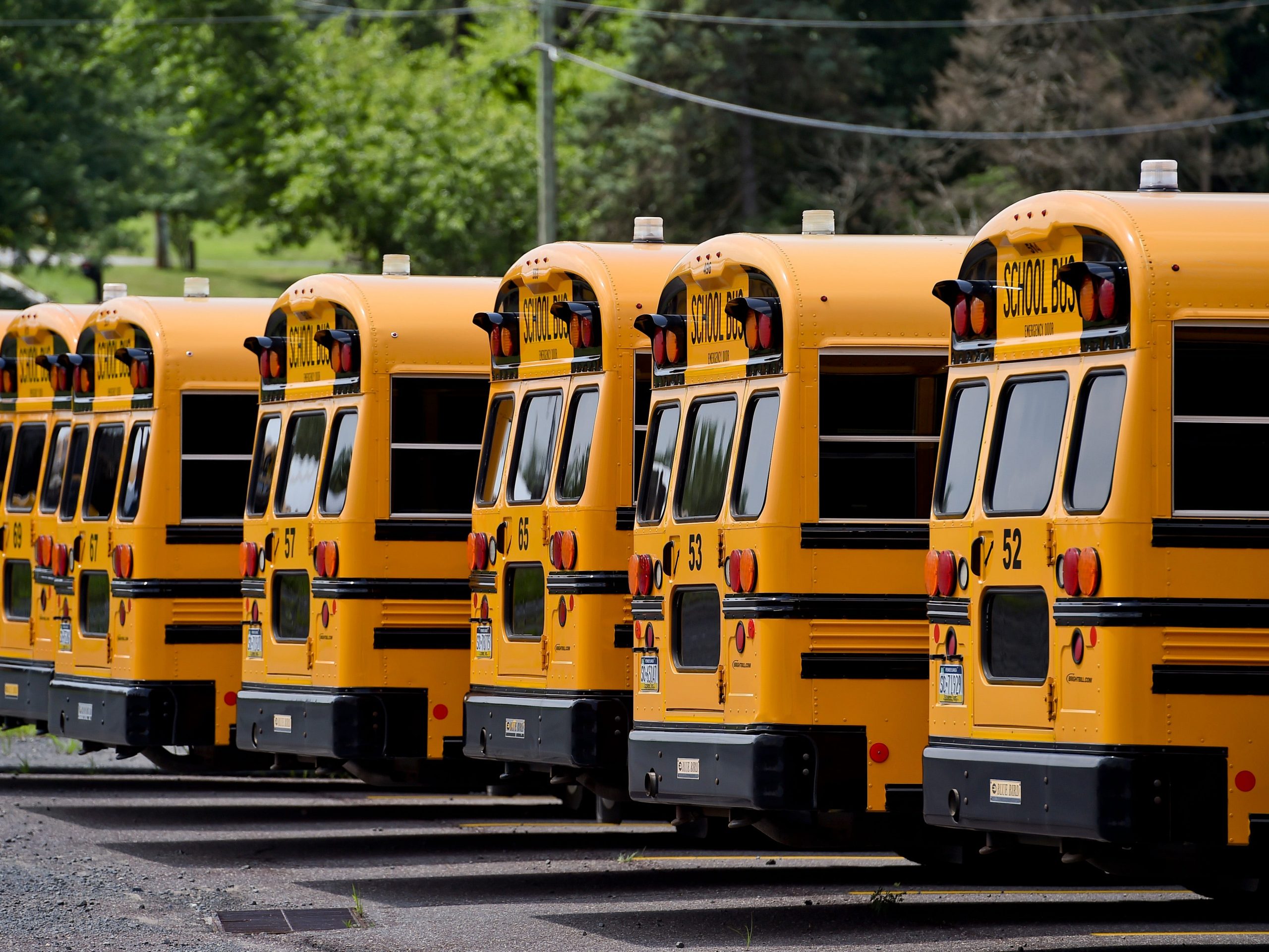 A row of school buses.