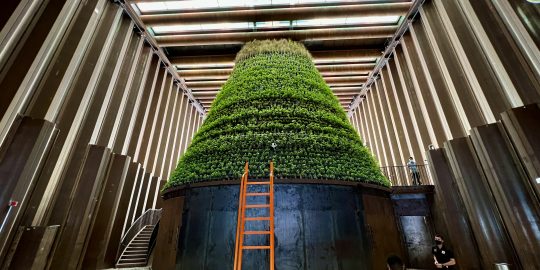 EXPO 2020 Nederland Paviljoen biotoop