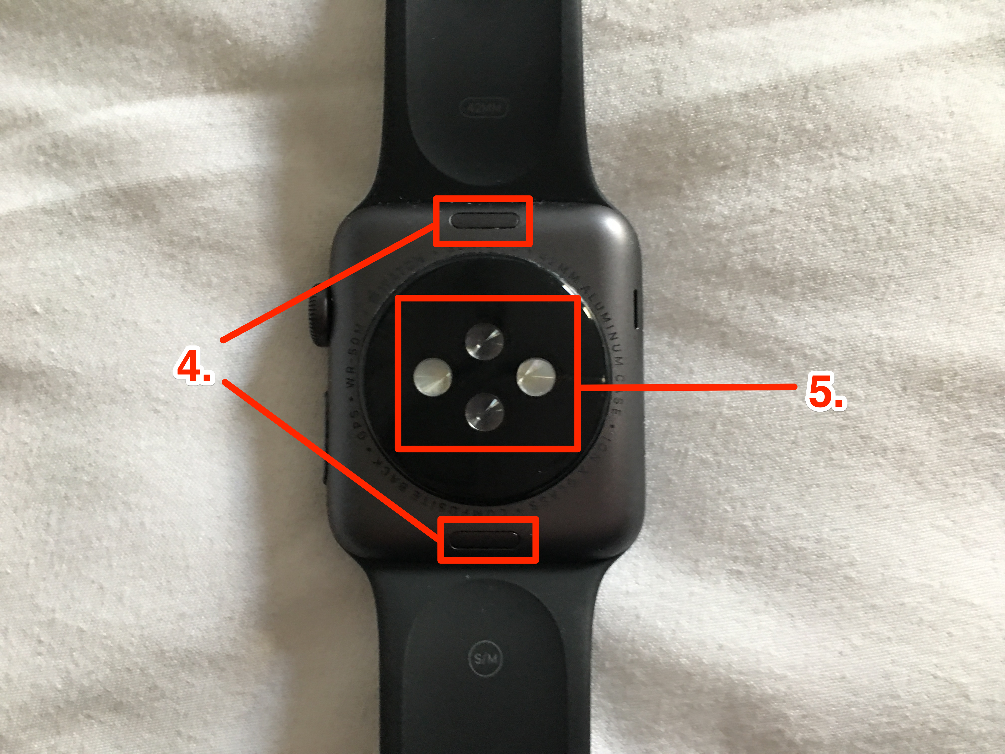 A diagram of the back of an Apple Watch, showing the band release buttons and heart sensors.