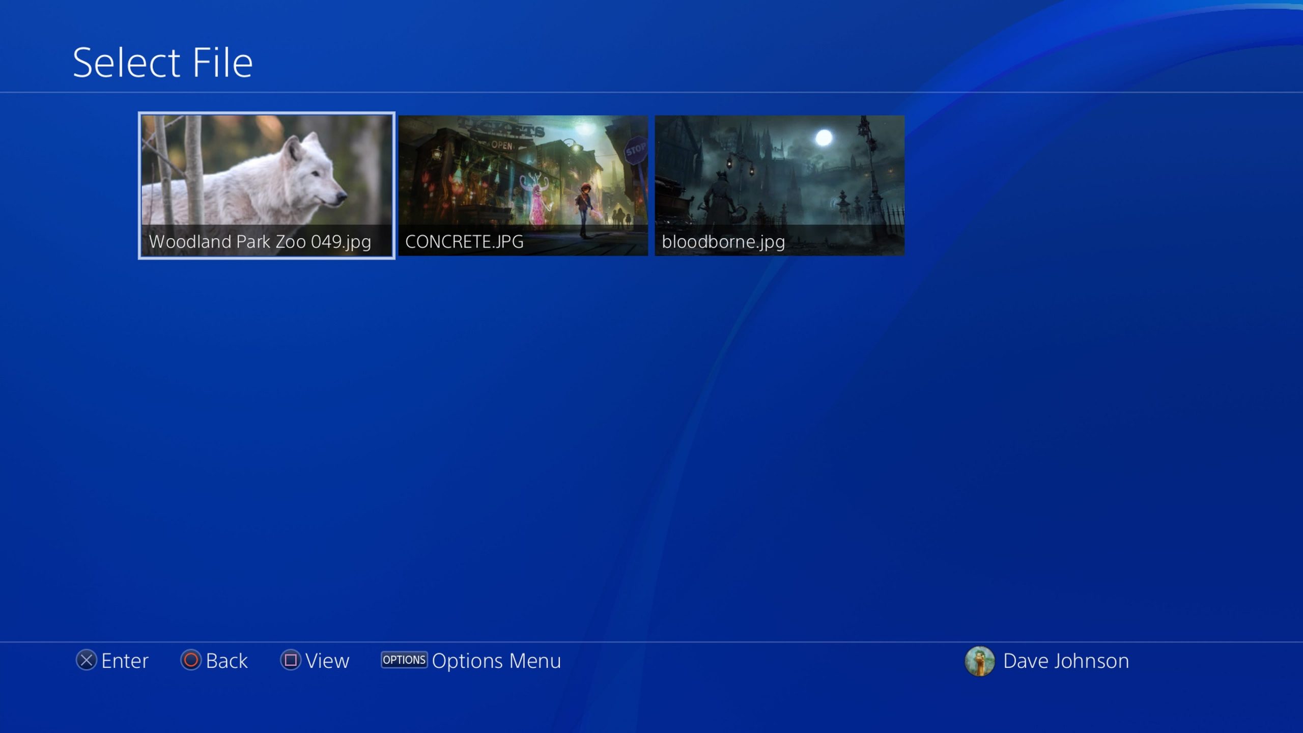 Screenshot of Select File page on PS4