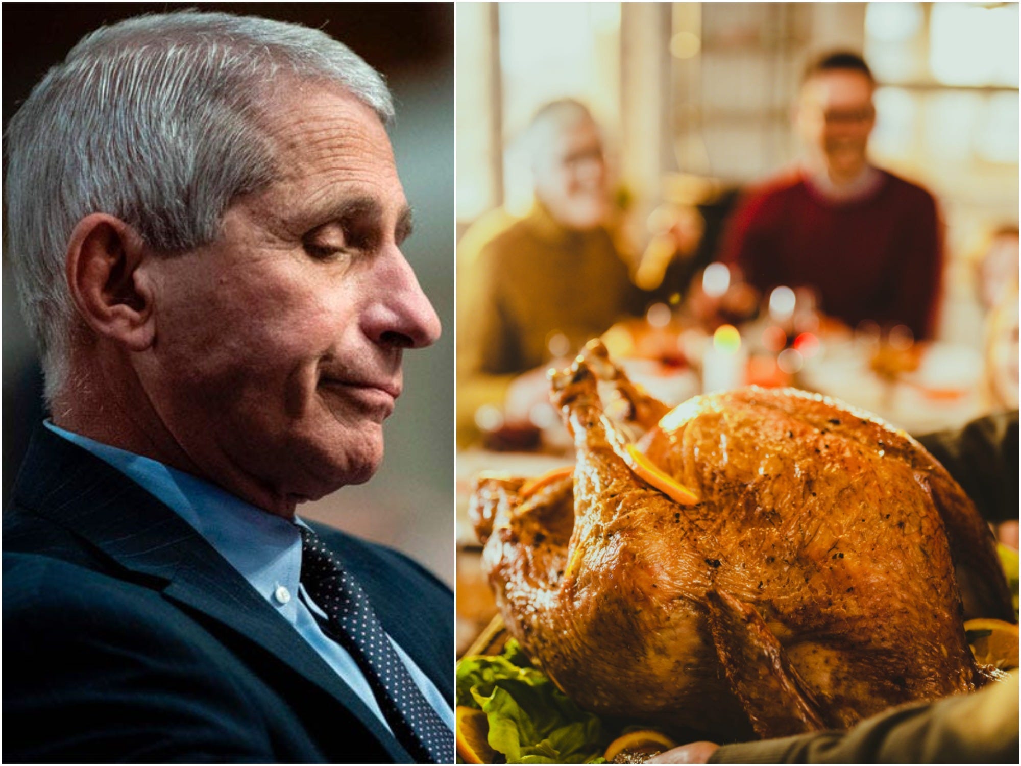 anthony fauci thanksgiving turkey