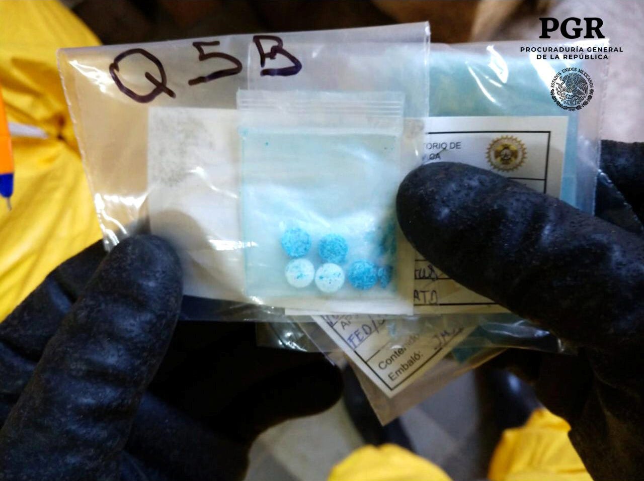 Mexico drug lab fentanyl