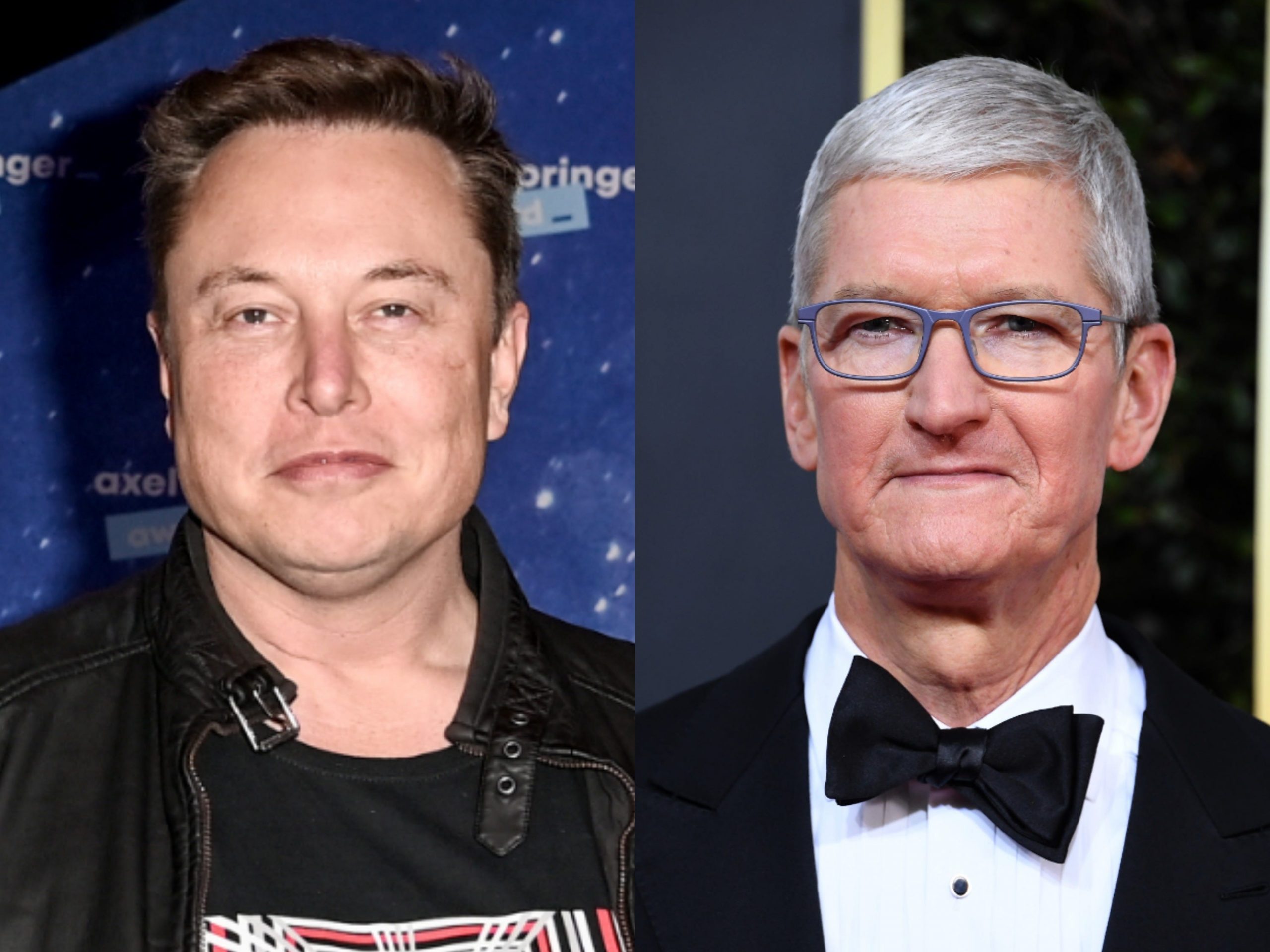 Tesla CEO Elon Musk, Apple CEO Tim Cook.