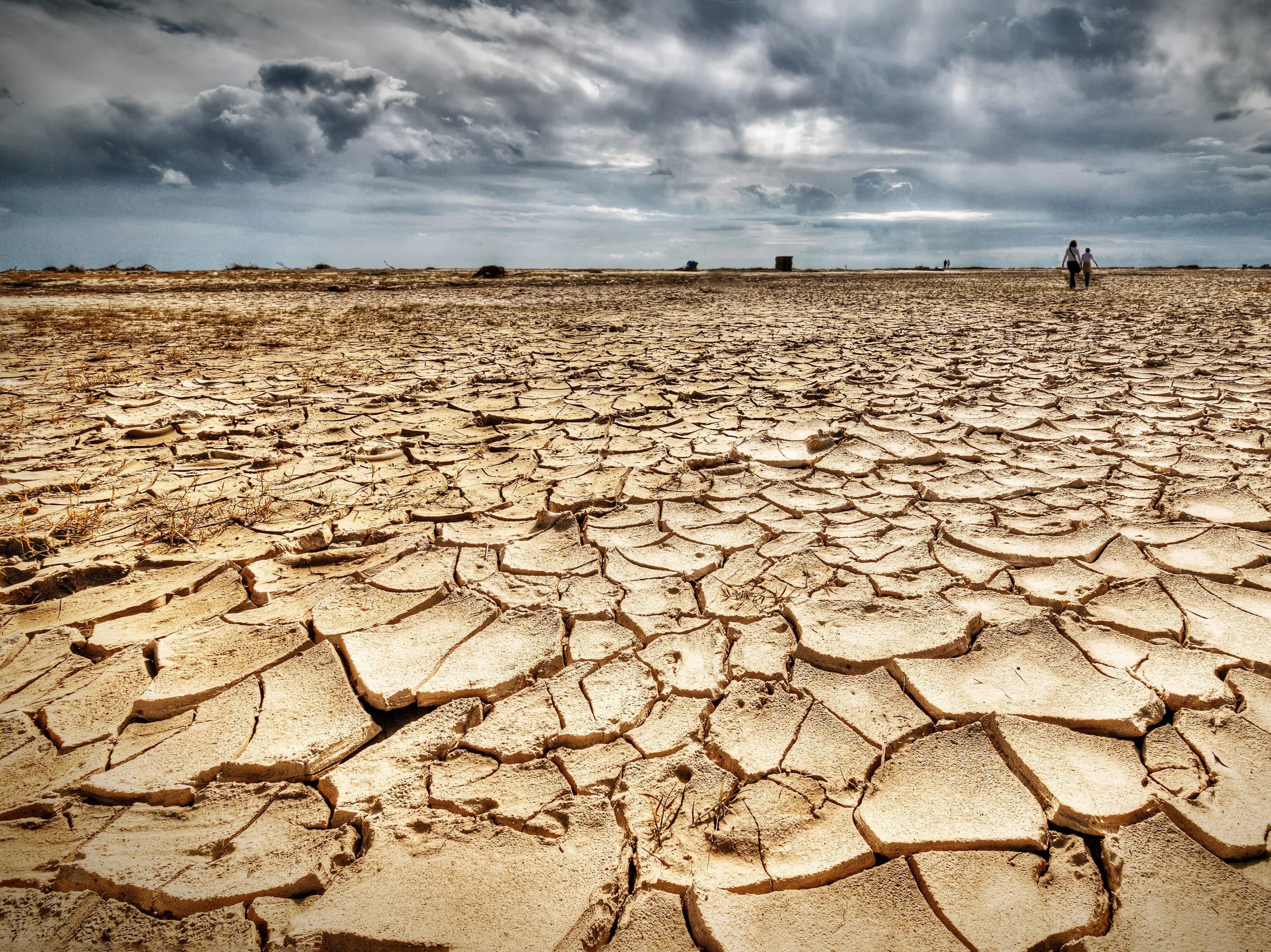 A flat drought landscape
