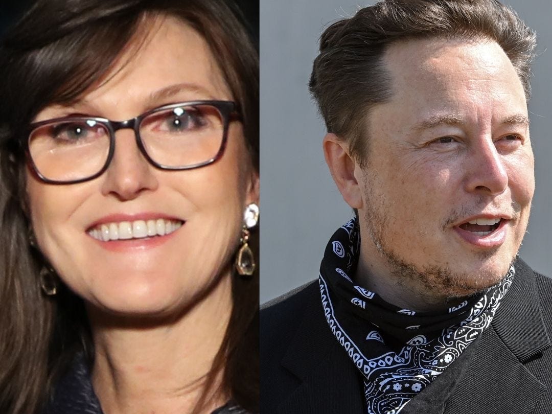 Cathie Wood and Elon Musk