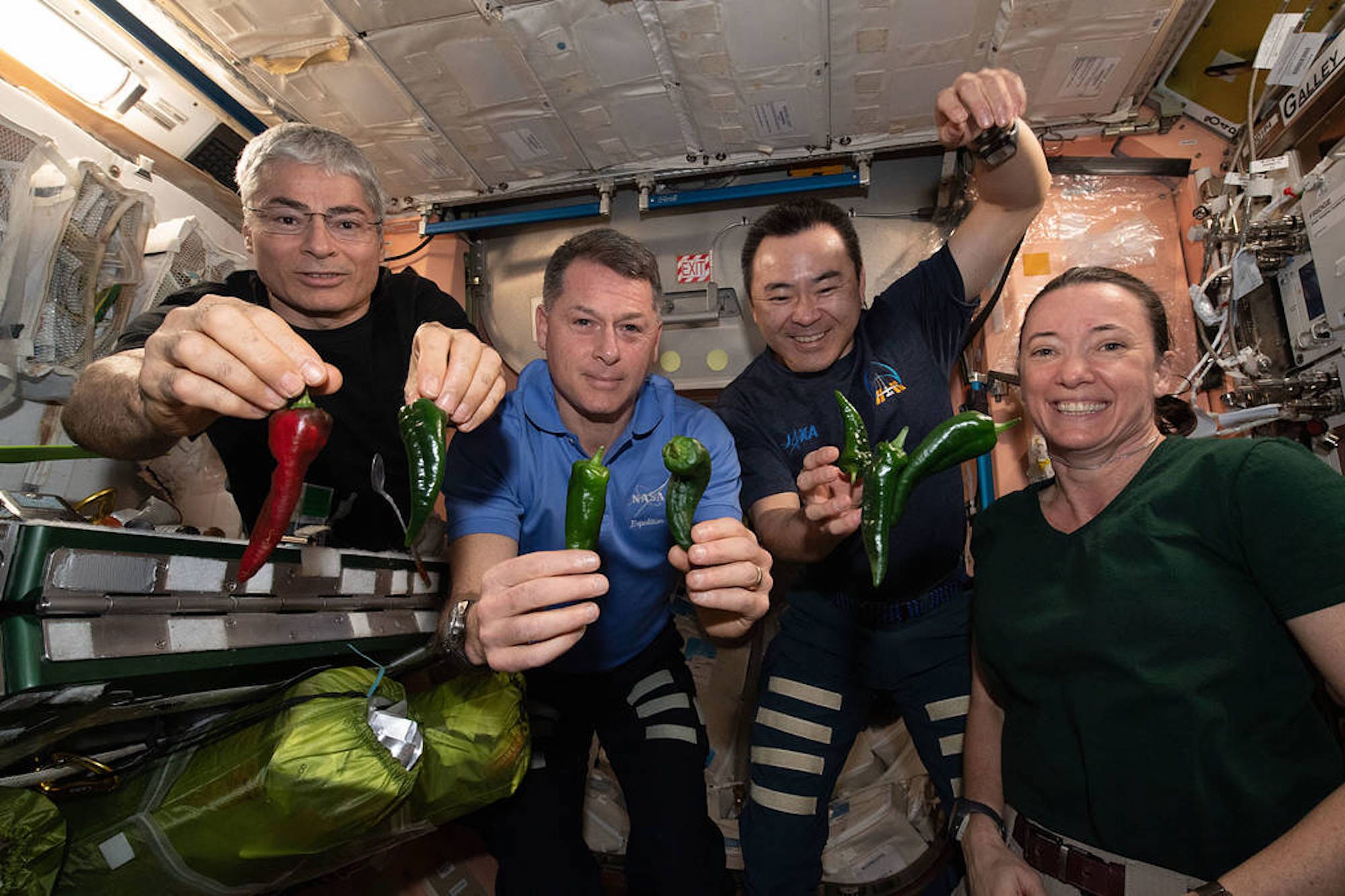 Four astronauts smile holding green peppers on the International Space Station. Some peppers are floating.