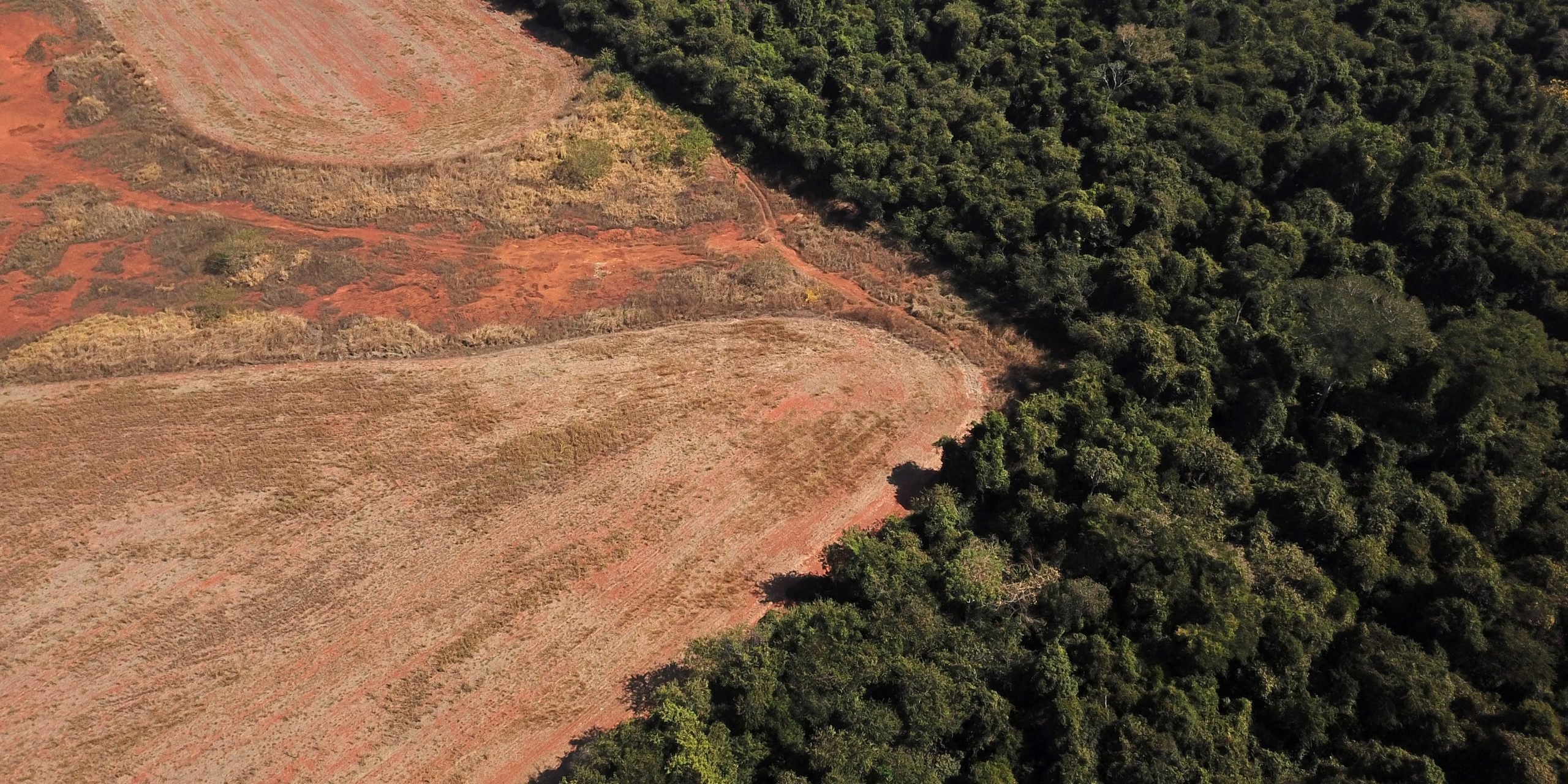 A patch of deforest land beside a forest