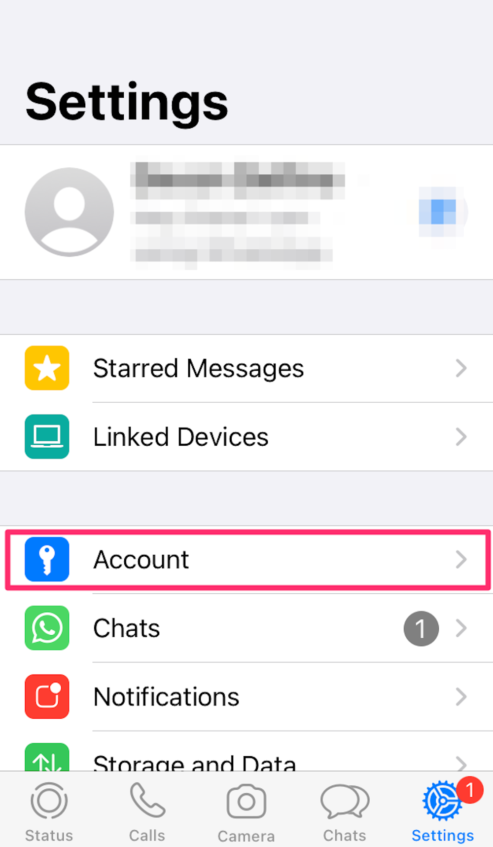 Screenshot of the settings menu in WhatsApp