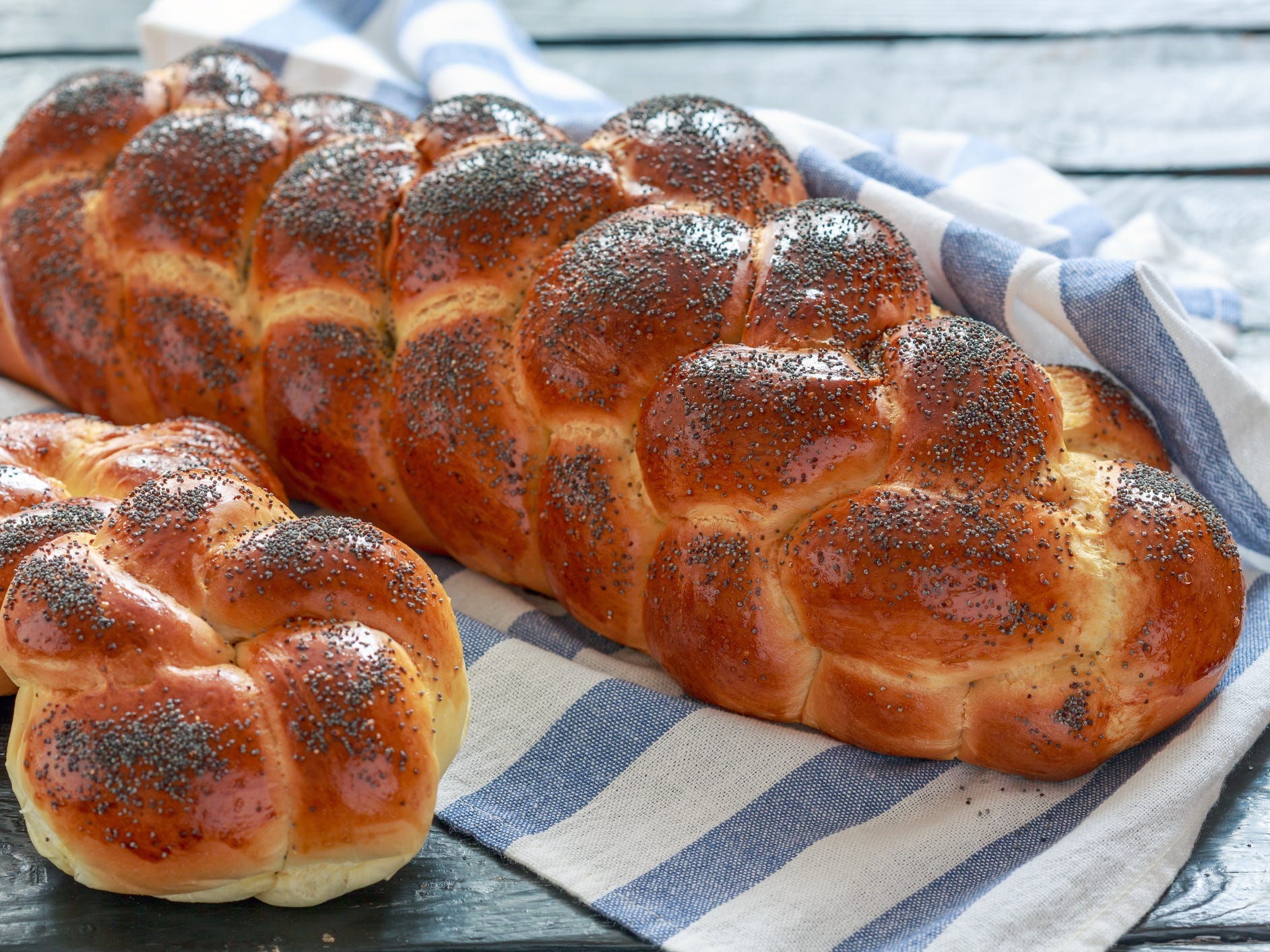 A large loaf of braided challah bread aside two smaller challah rolls, all topped with poppy seeds