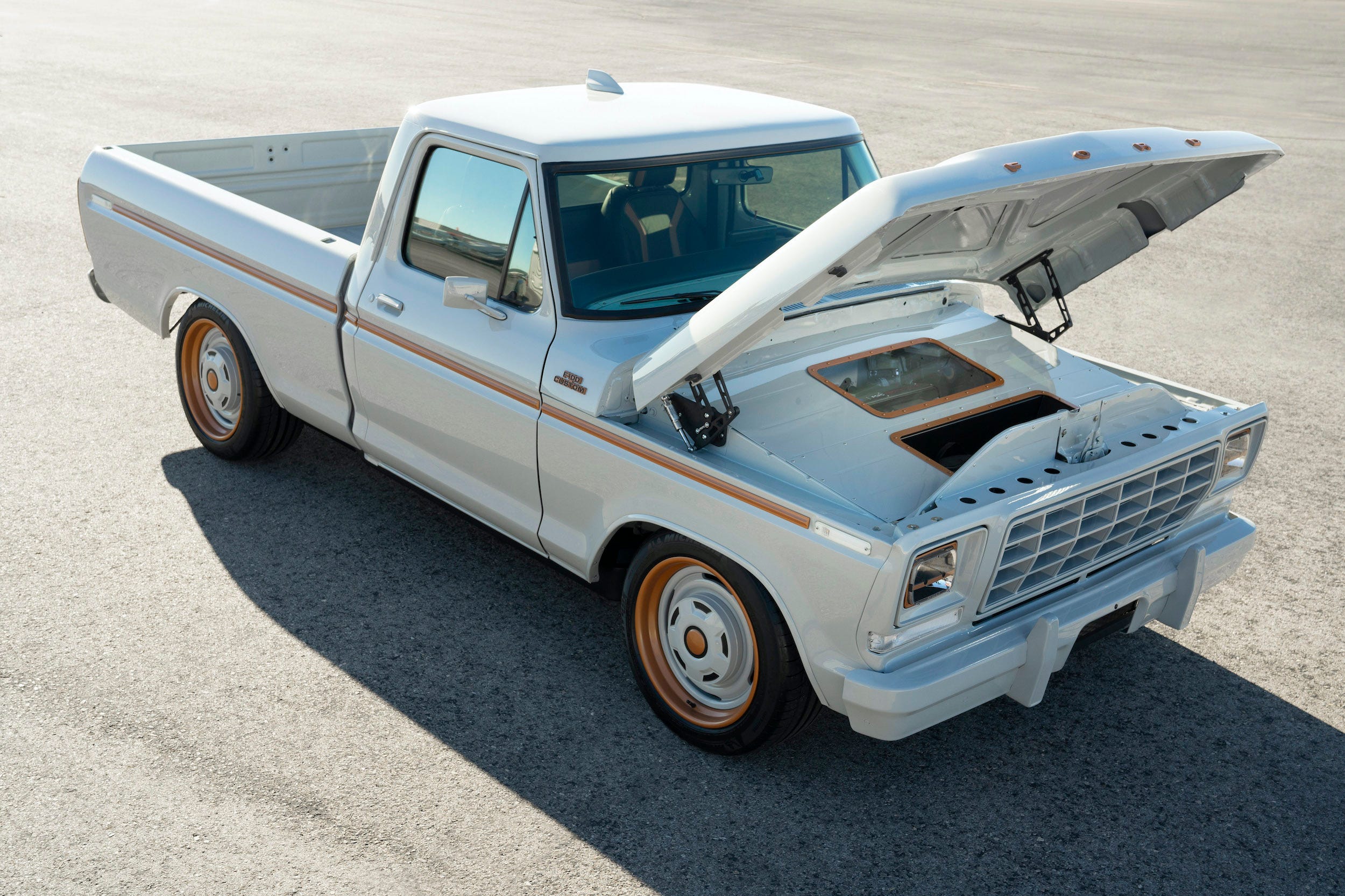Electric F-100 Eluminator concept pickup.