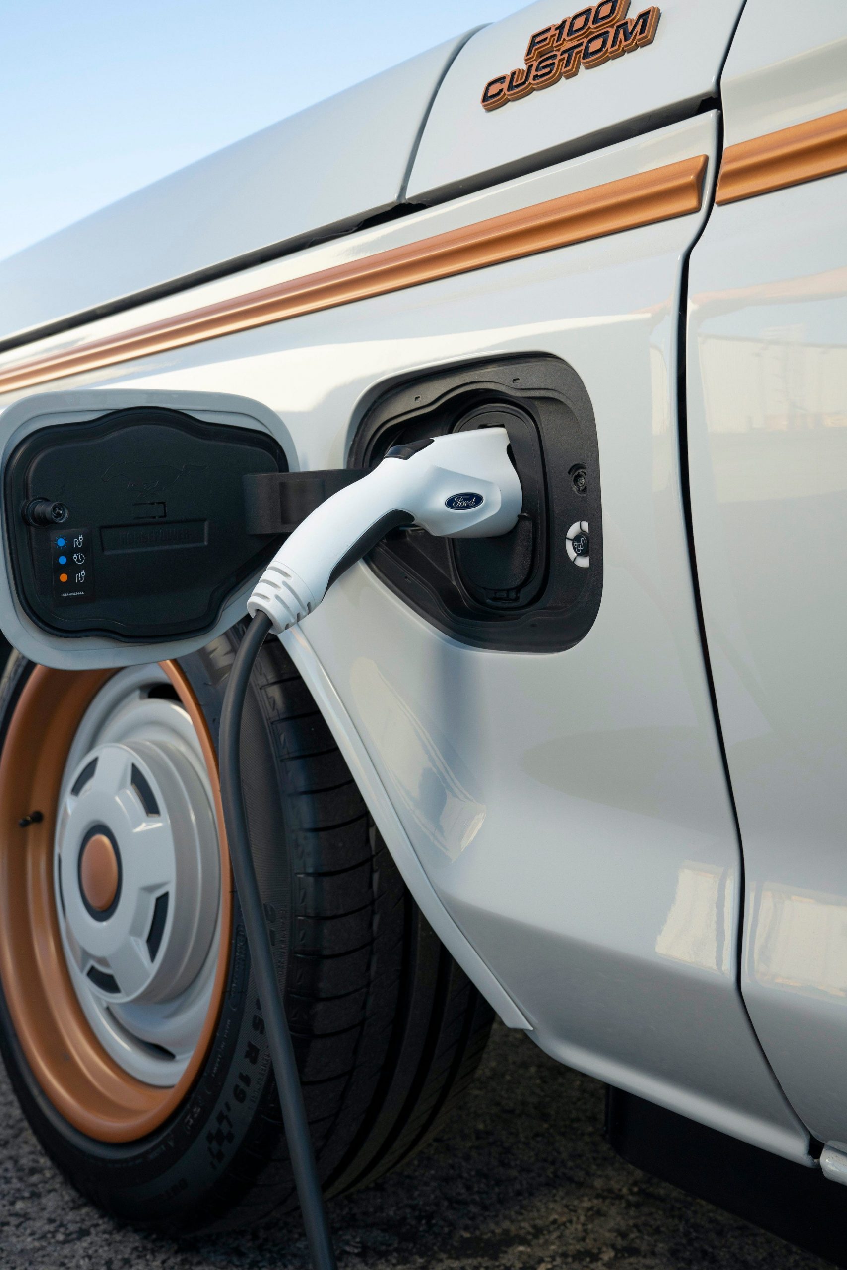 Electric F-100 Eluminator concept pickup.
