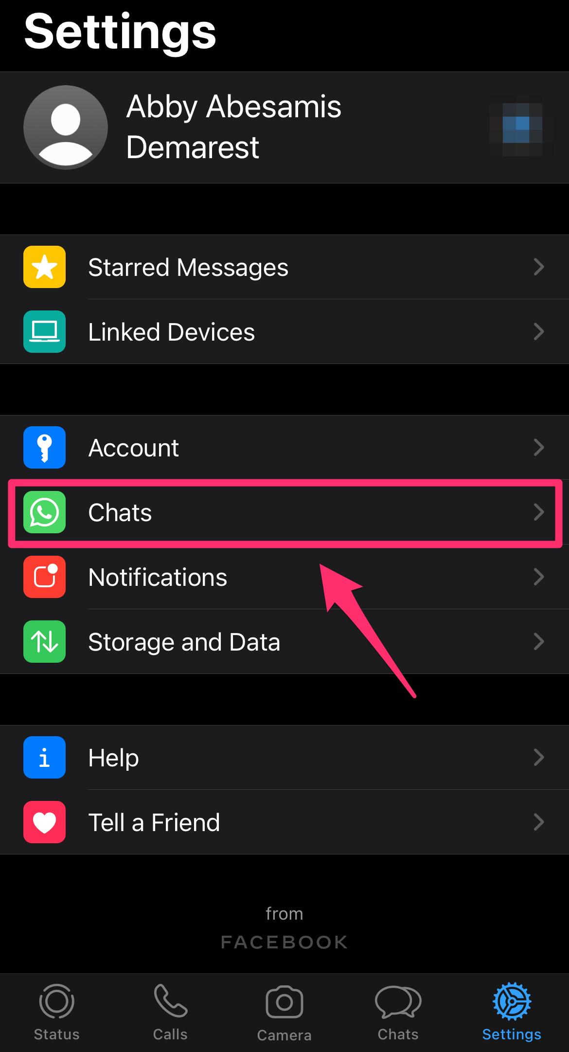 Screenshot of the Settings section of WhatsApp with Chats highlighted